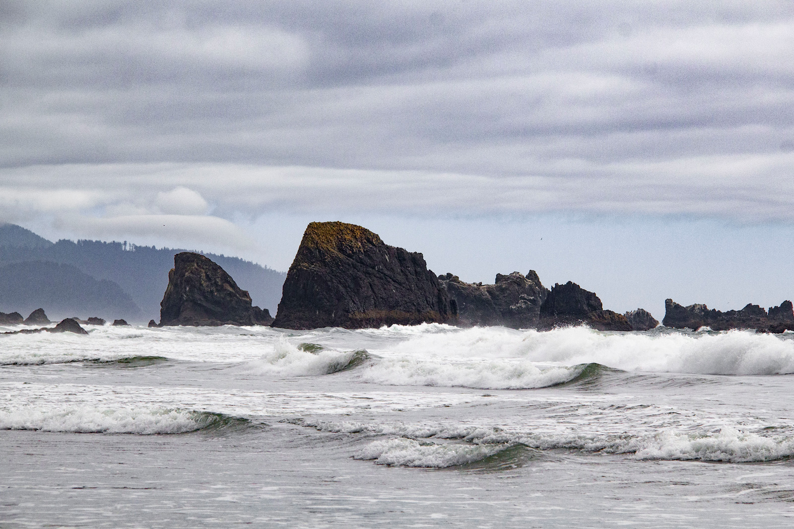 Oregon Coast —— 2019