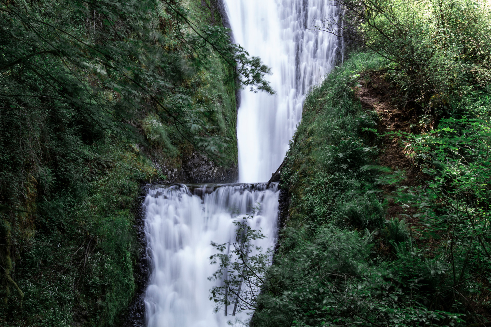 Multnomah Falls —— 2019