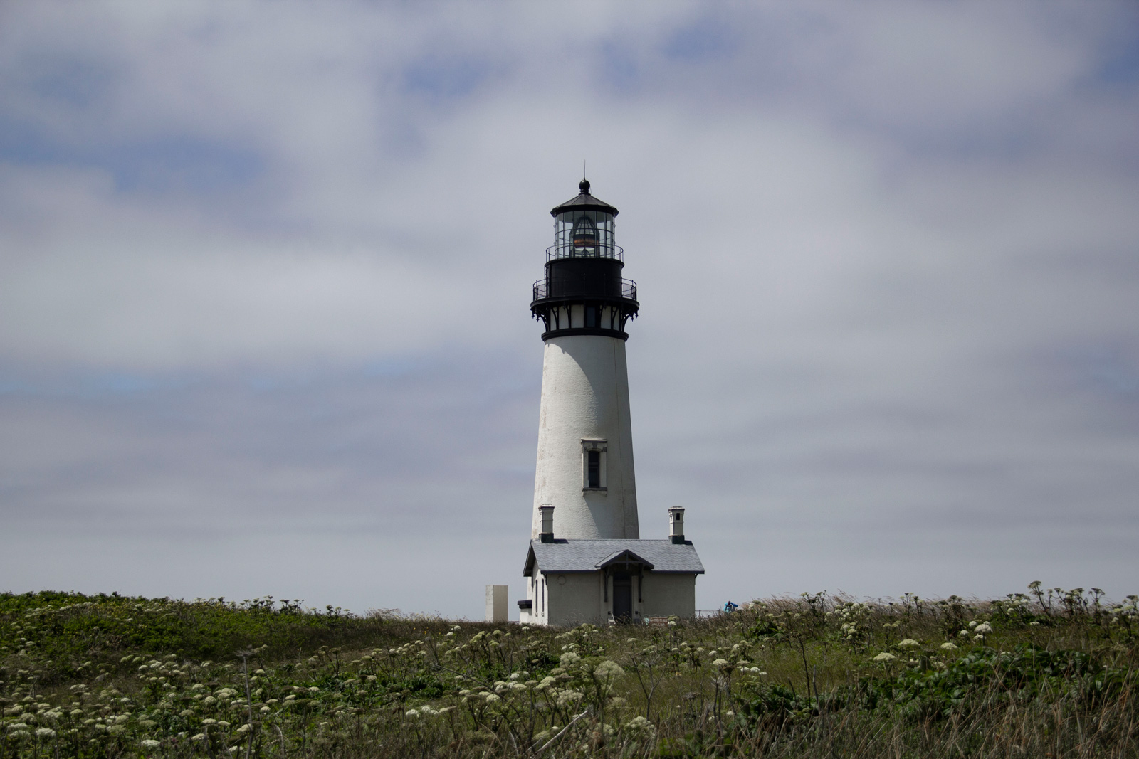Yaquina Head Lighthouse —— 2019