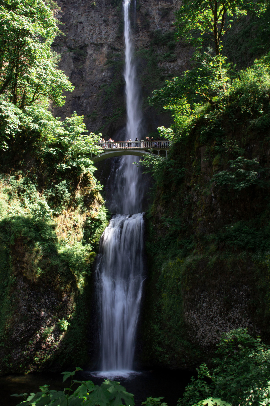 Multnomah Falls —— 2019