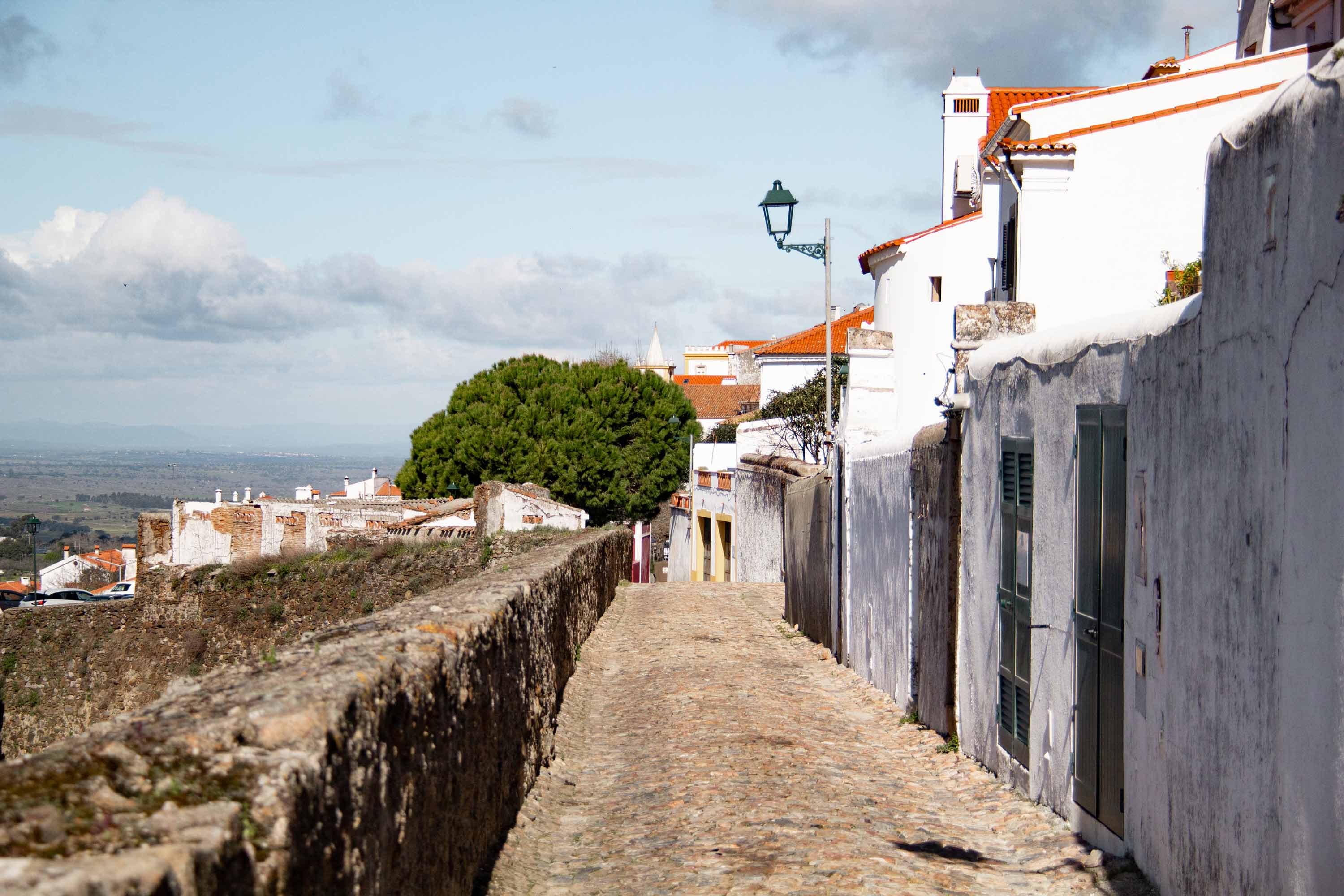 Castelo de Vide —— 2025