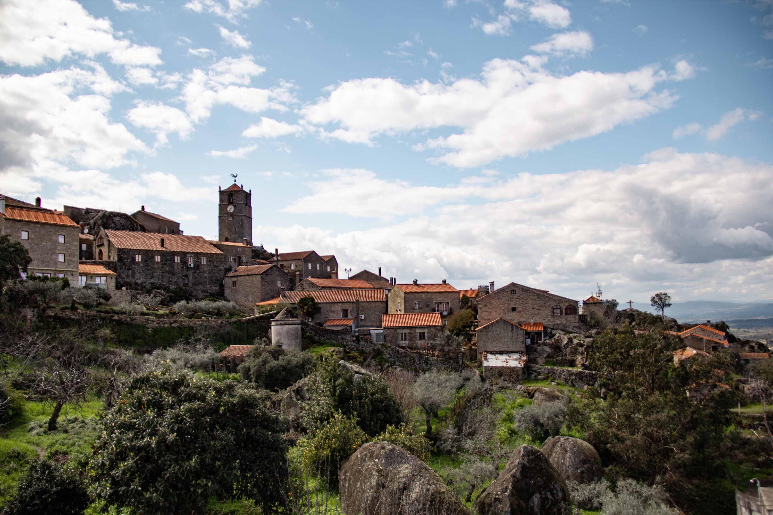 Monsanto —— 2025