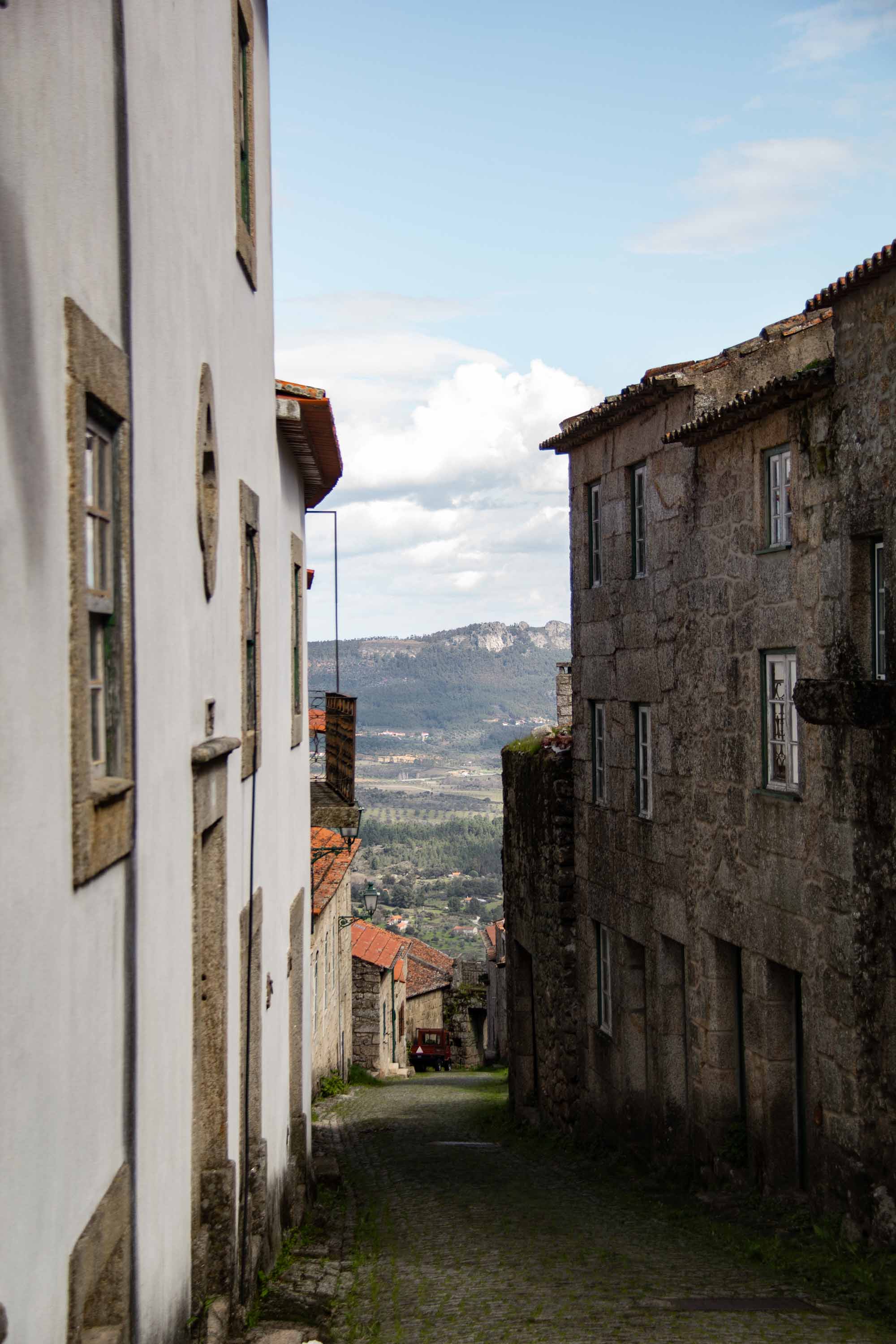 Monsanto —— 2025