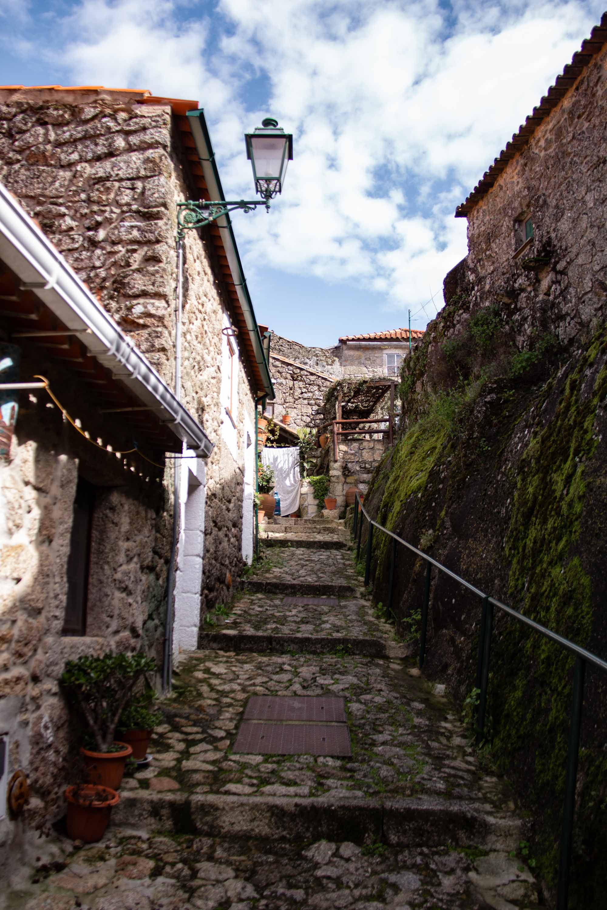 Monsanto —— 2025