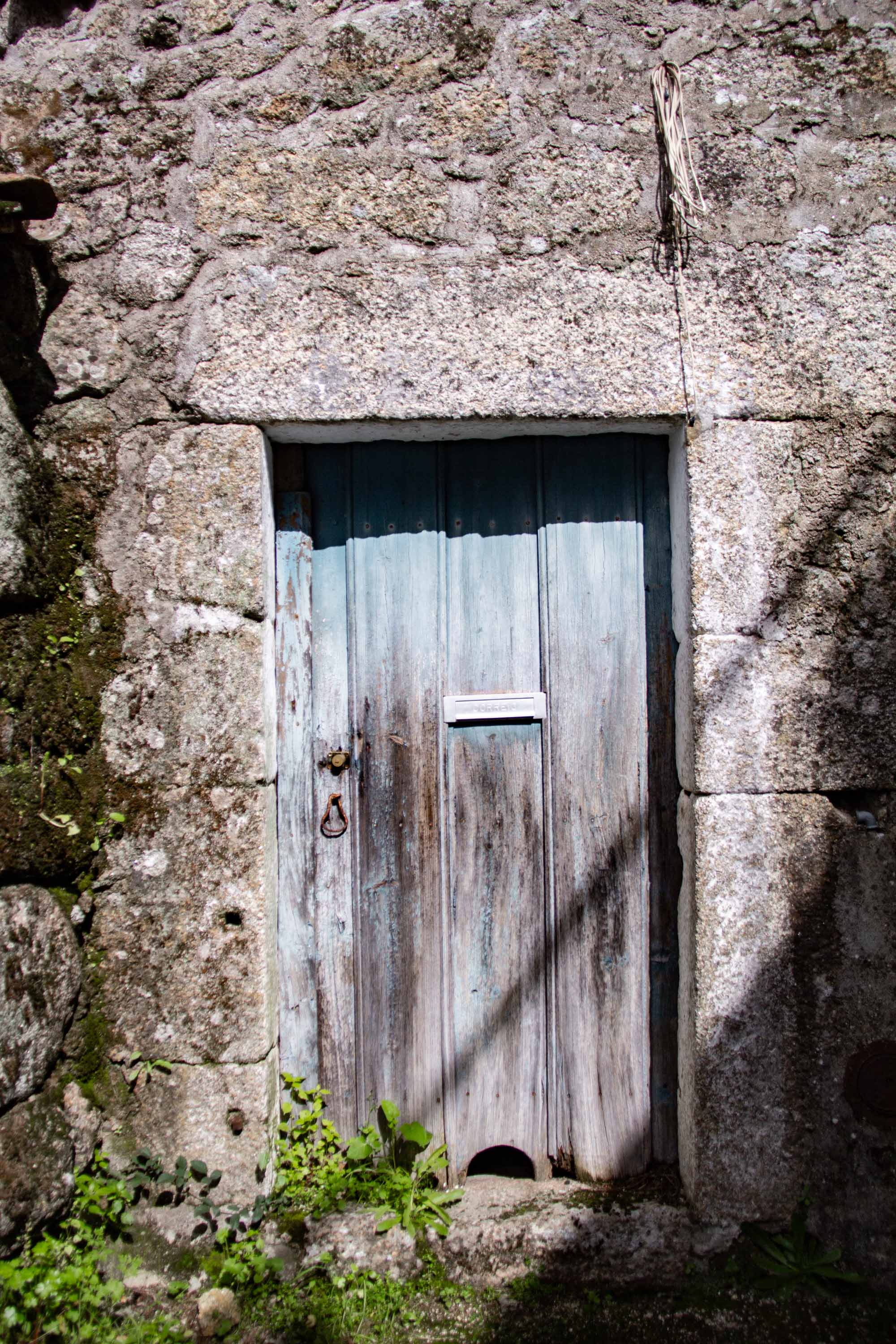 Monsanto —— 2025