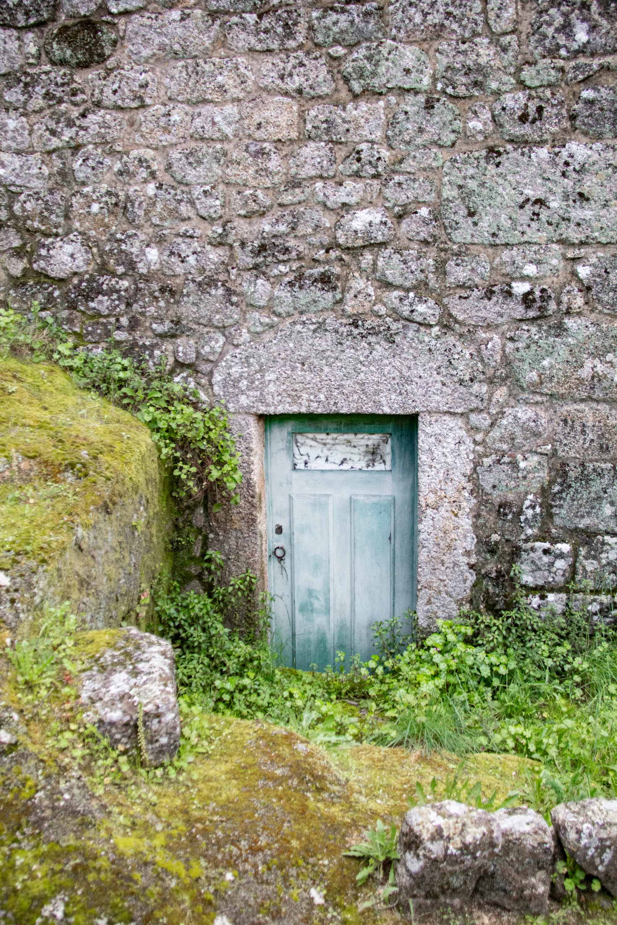 Monsanto —— 2025