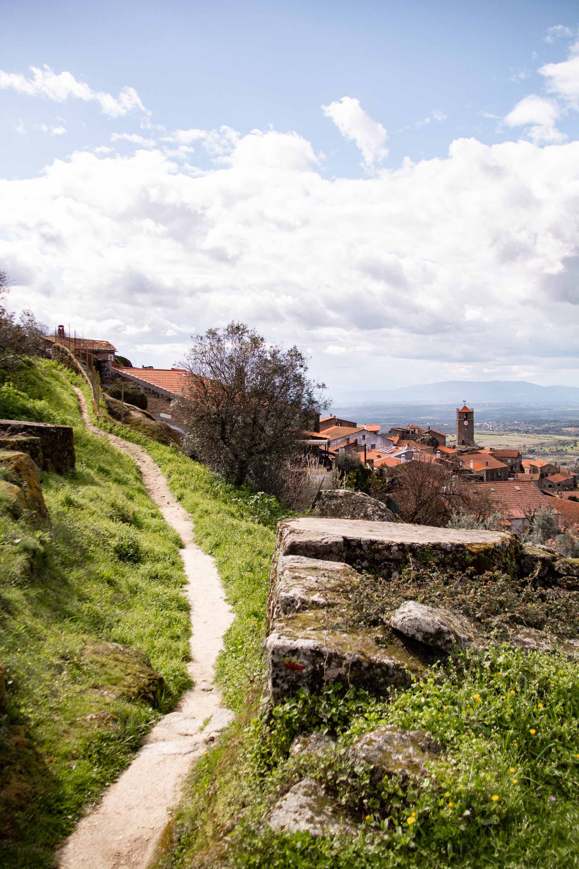 Monsanto —— 2025