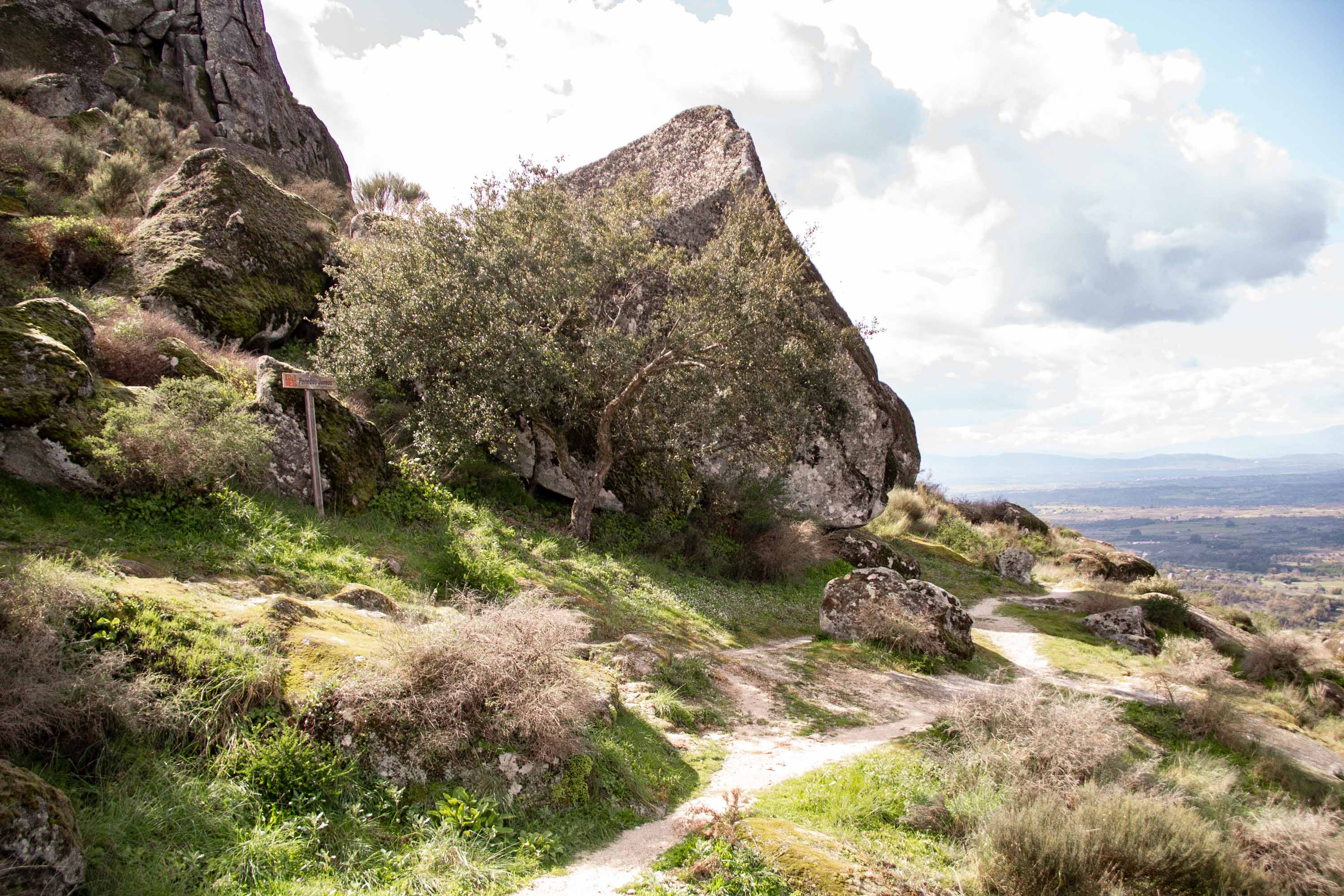 Penedos Juntos —— 2025