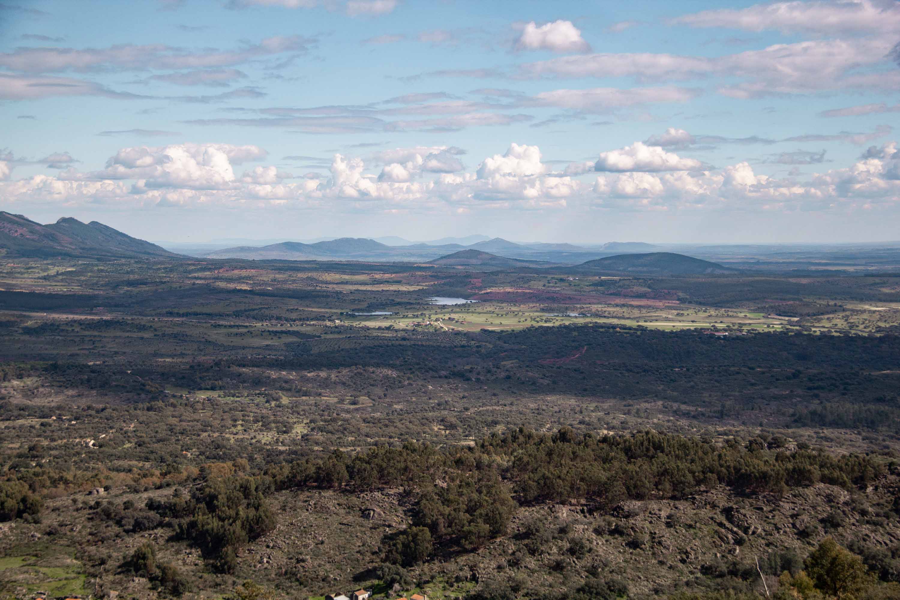 View from Monsanto —— 2025