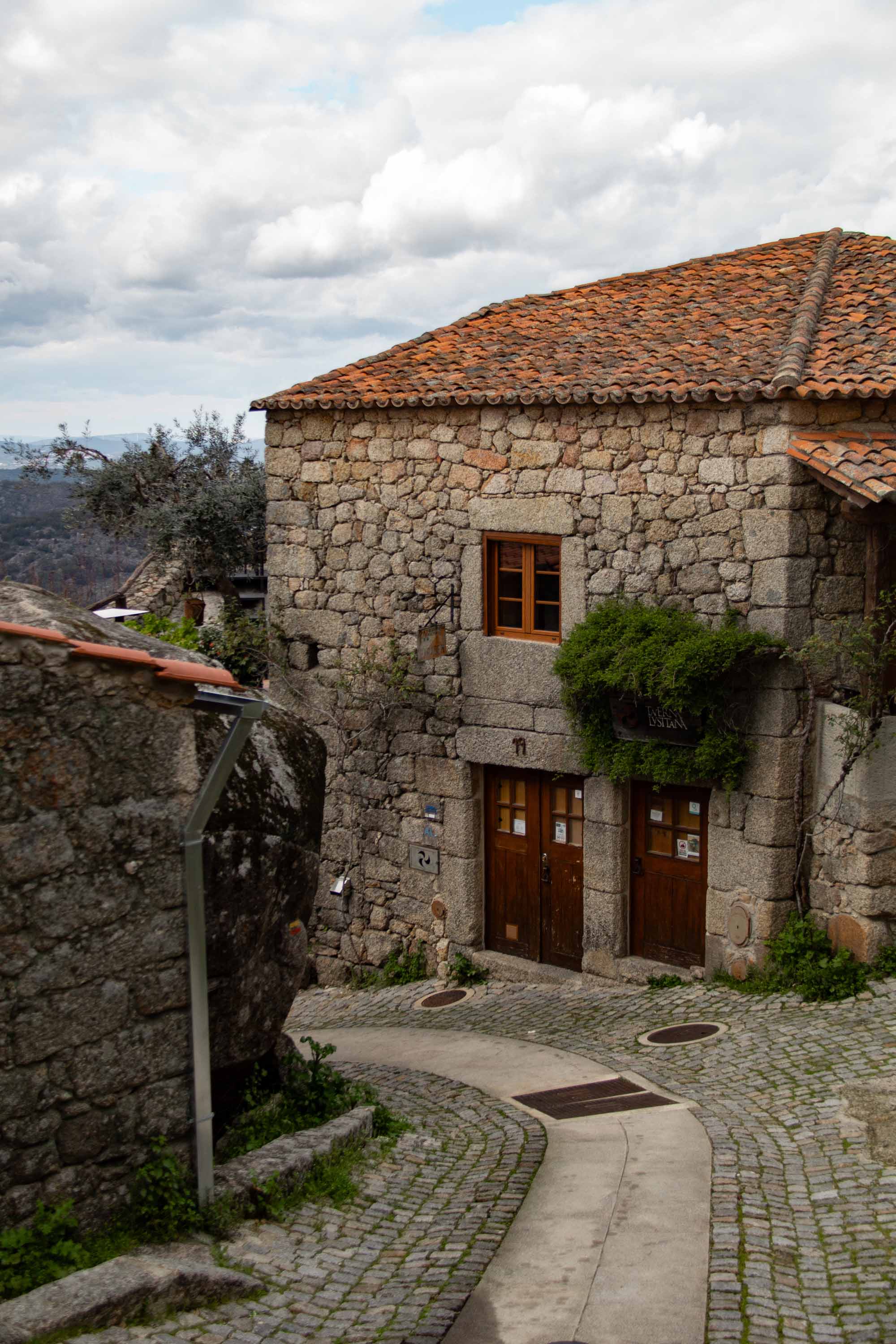 Monsanto —— 2025