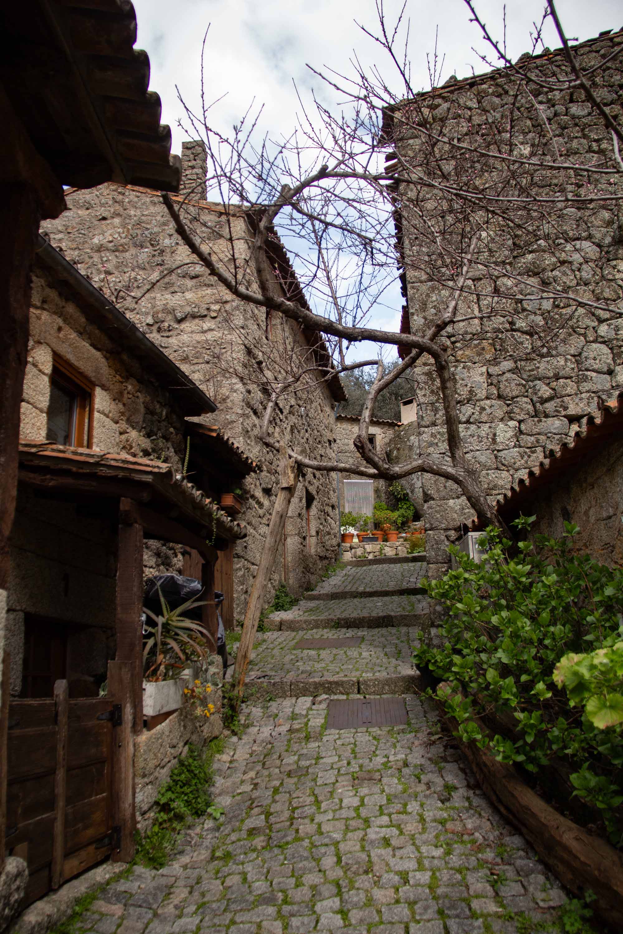 Monsanto —— 2025