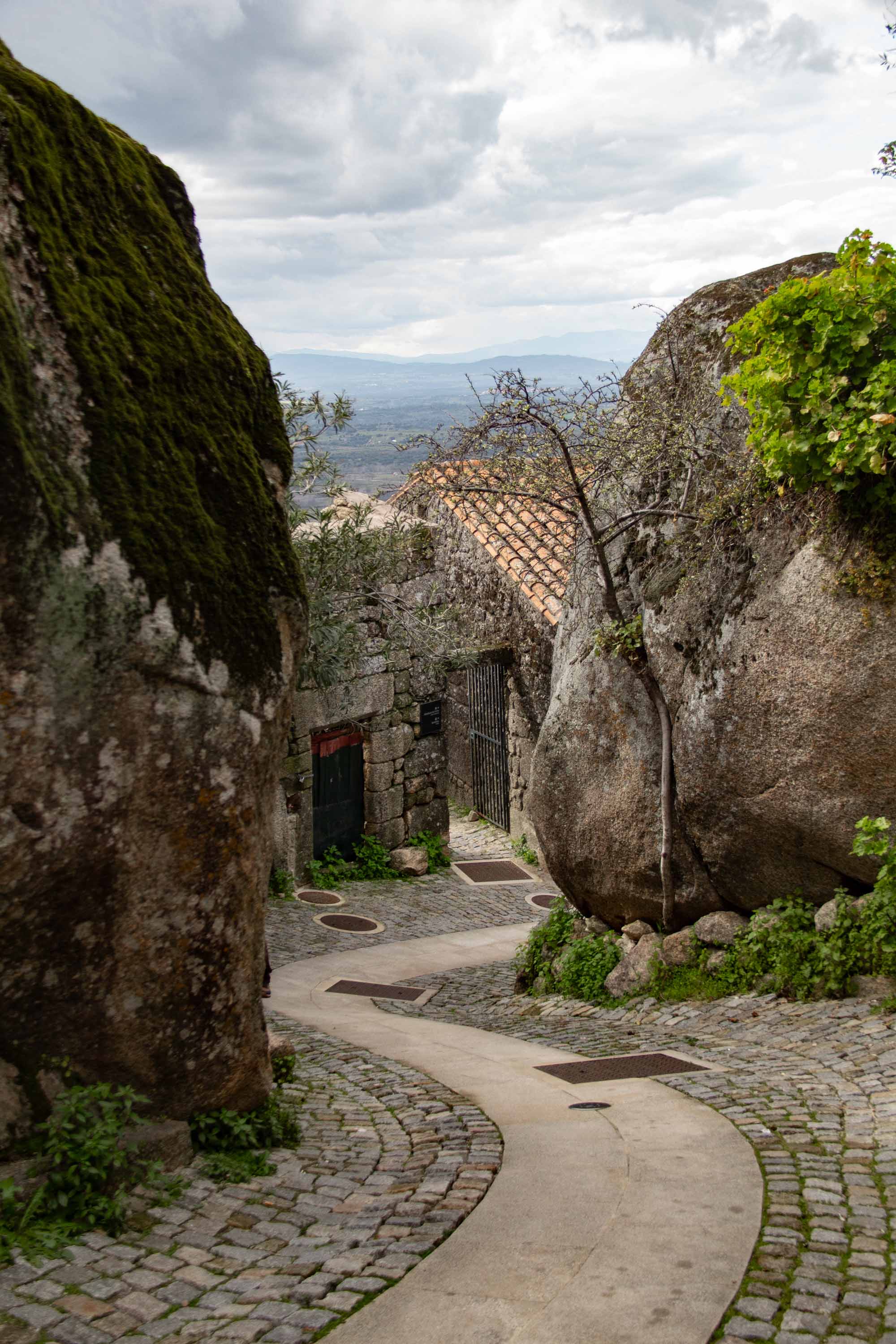 Monsanto —— 2025