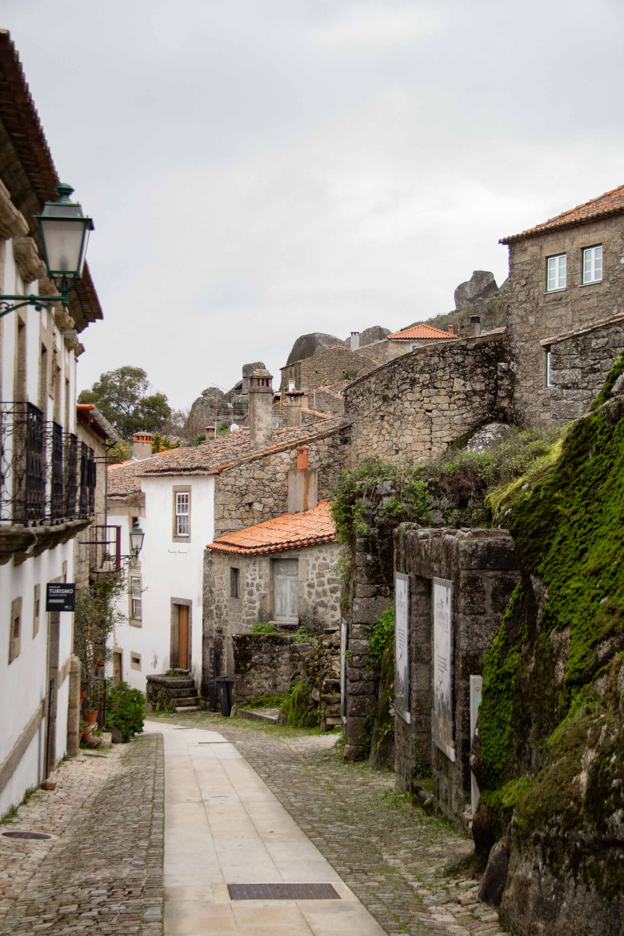 Monsanto —— 2025