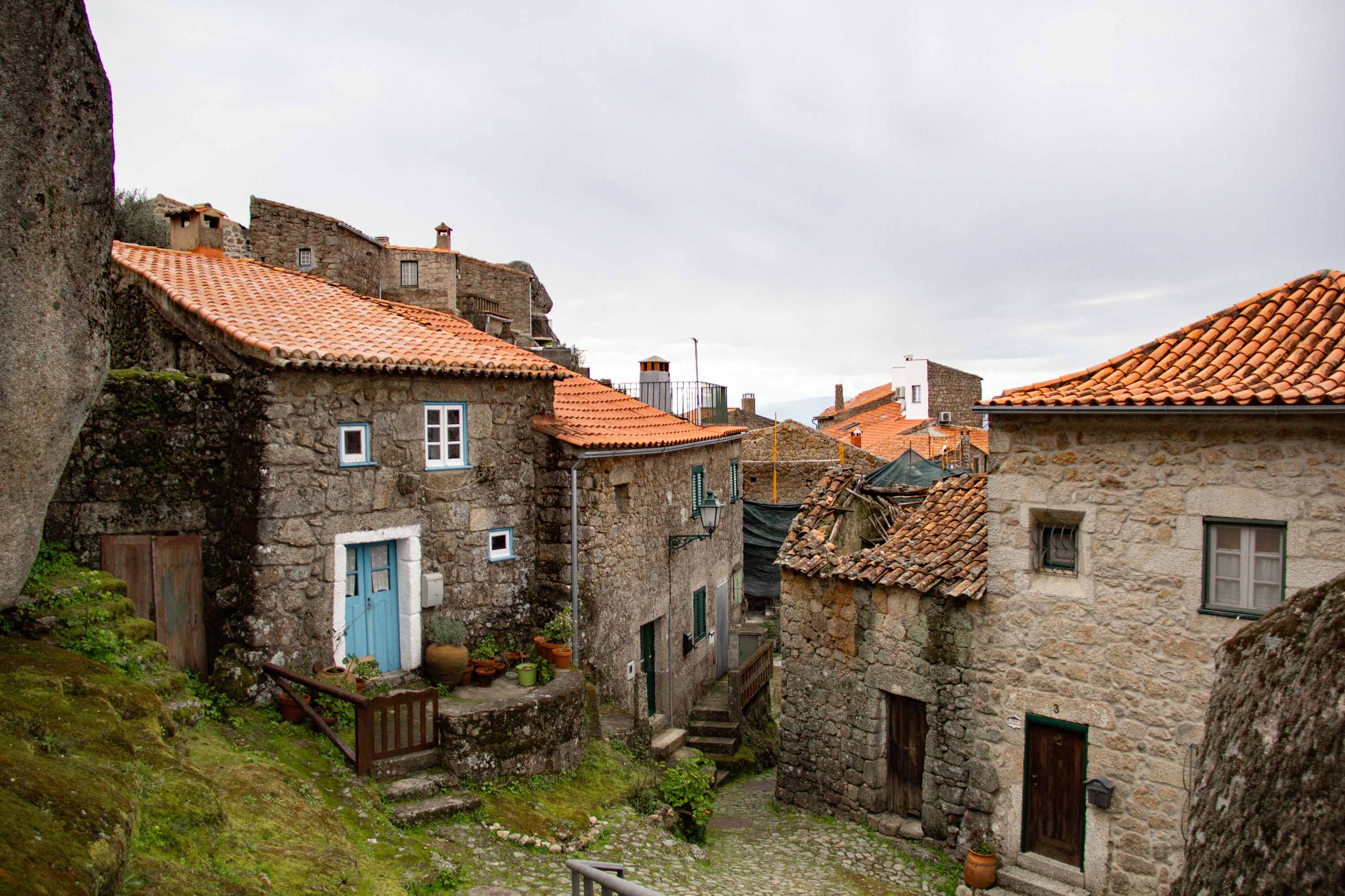 Monsanto —— 2025