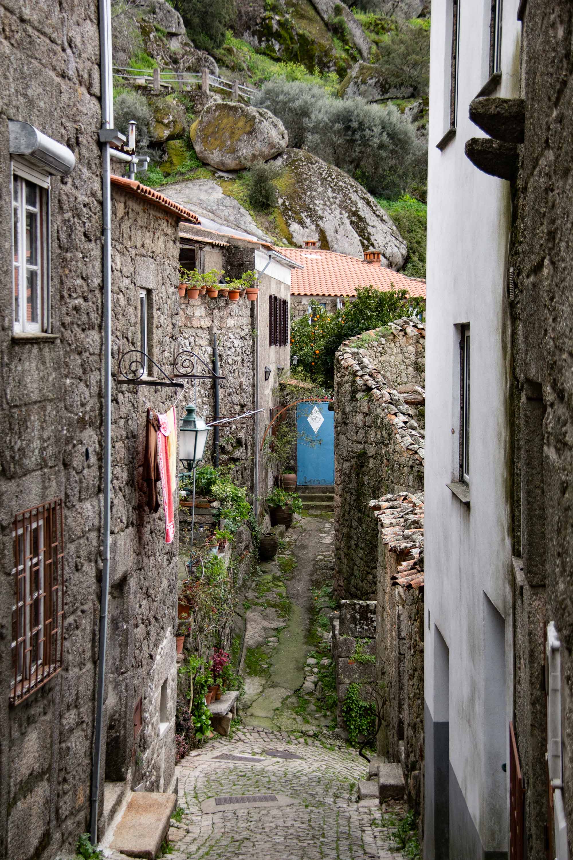 Monsanto —— 2025