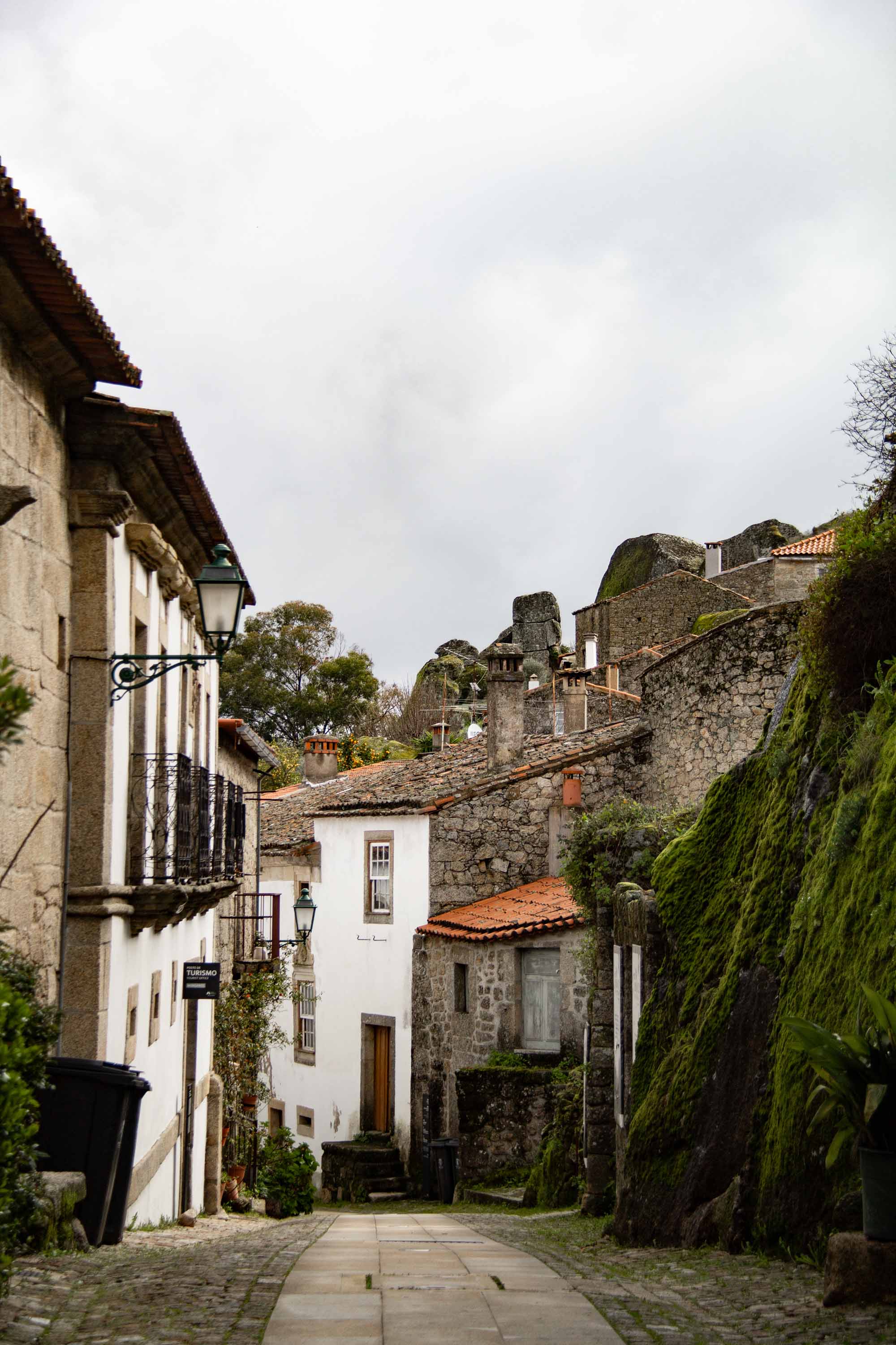 Monsanto —— 2025