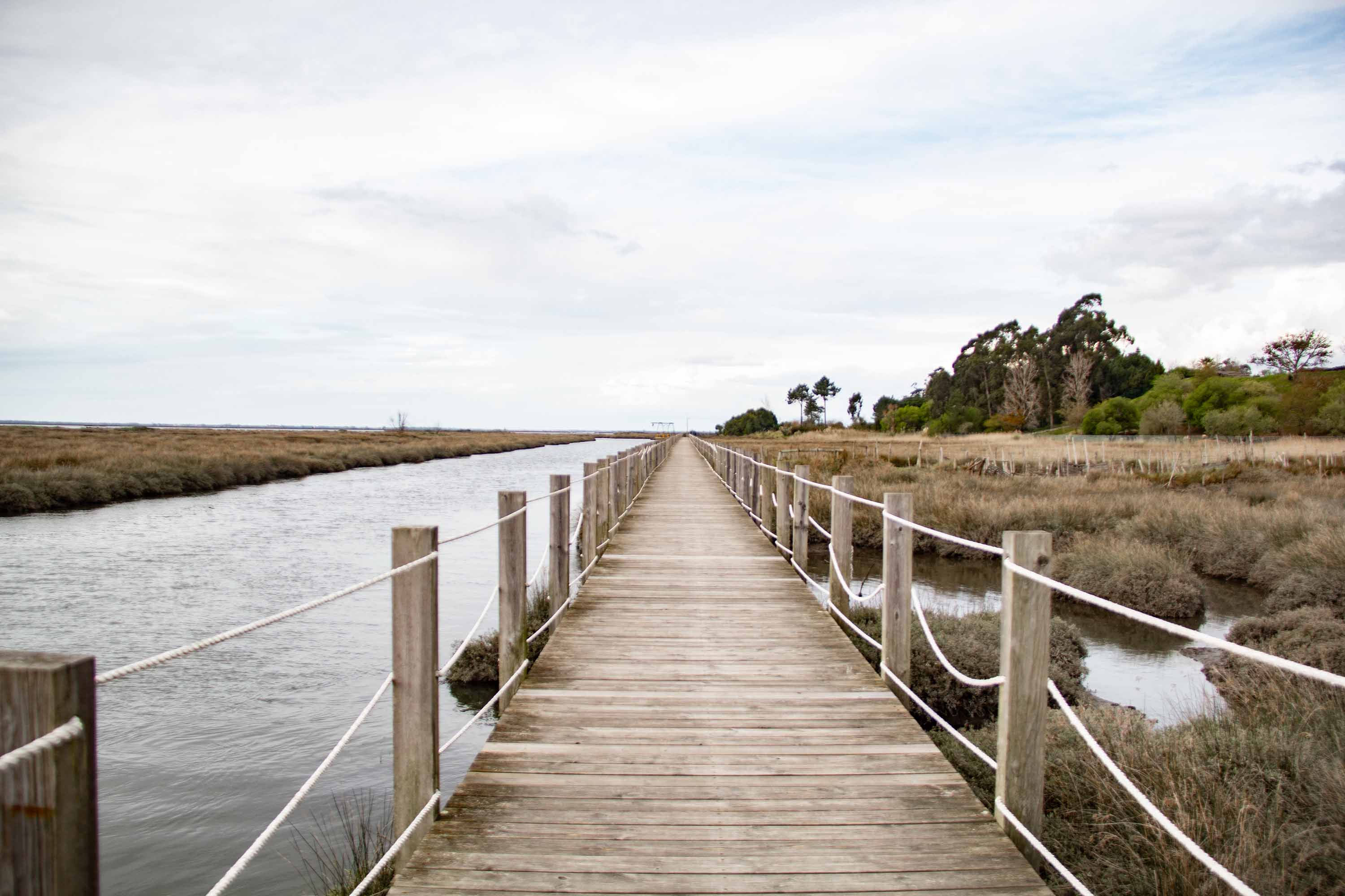 Near Aveiro —— 2025