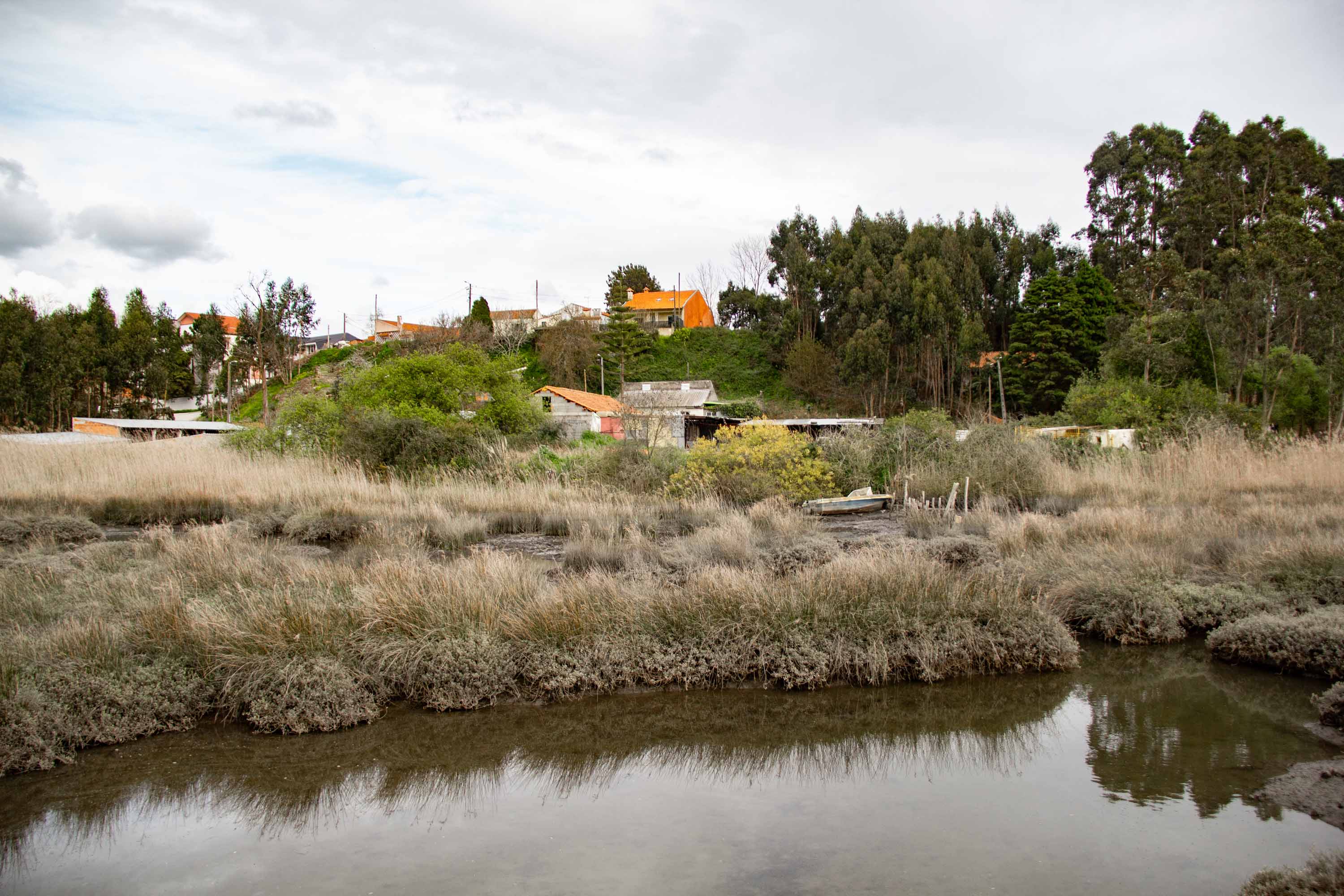 Near Aveiro —— 2025