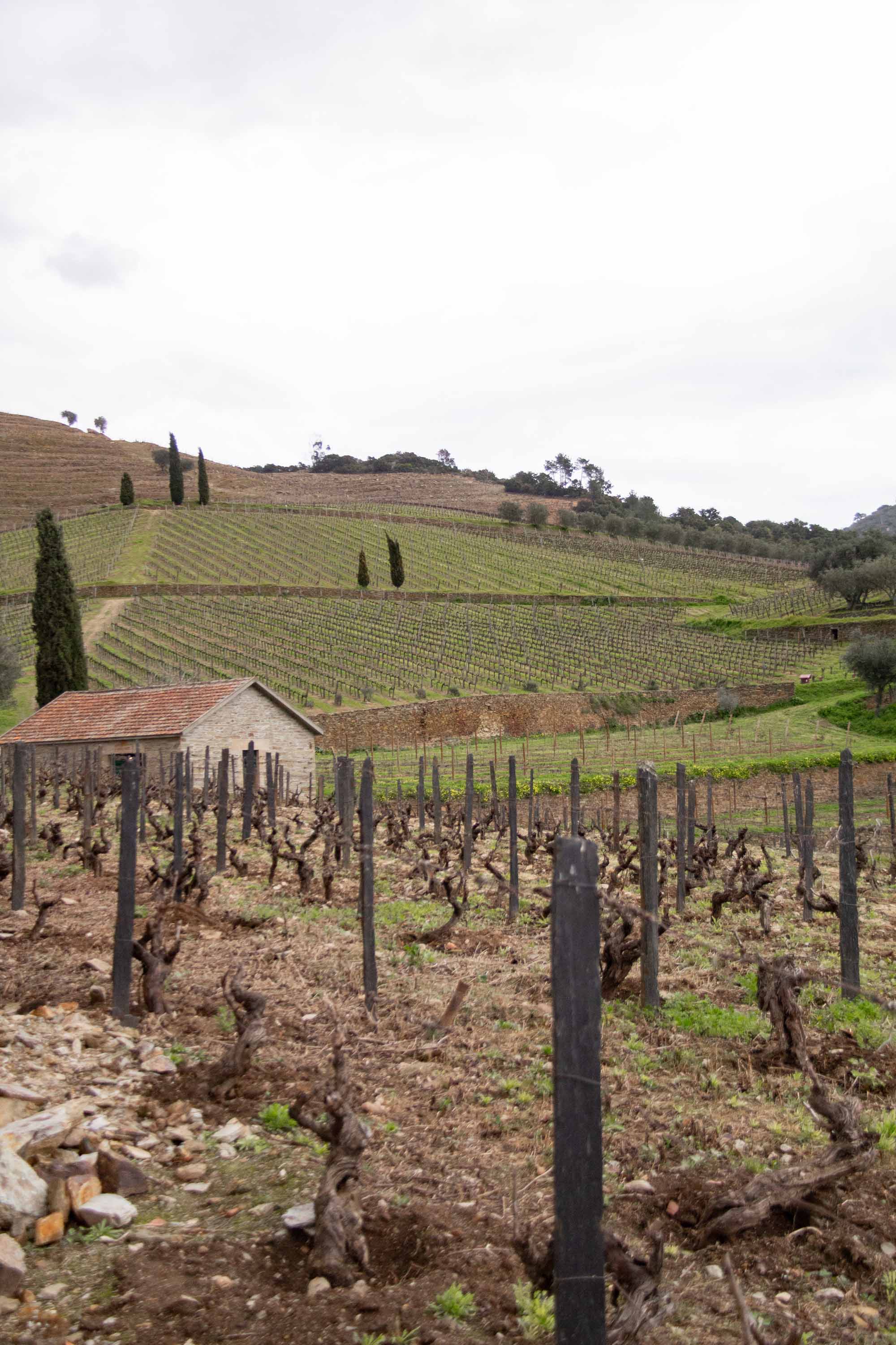 Duoro Valley —— 2025