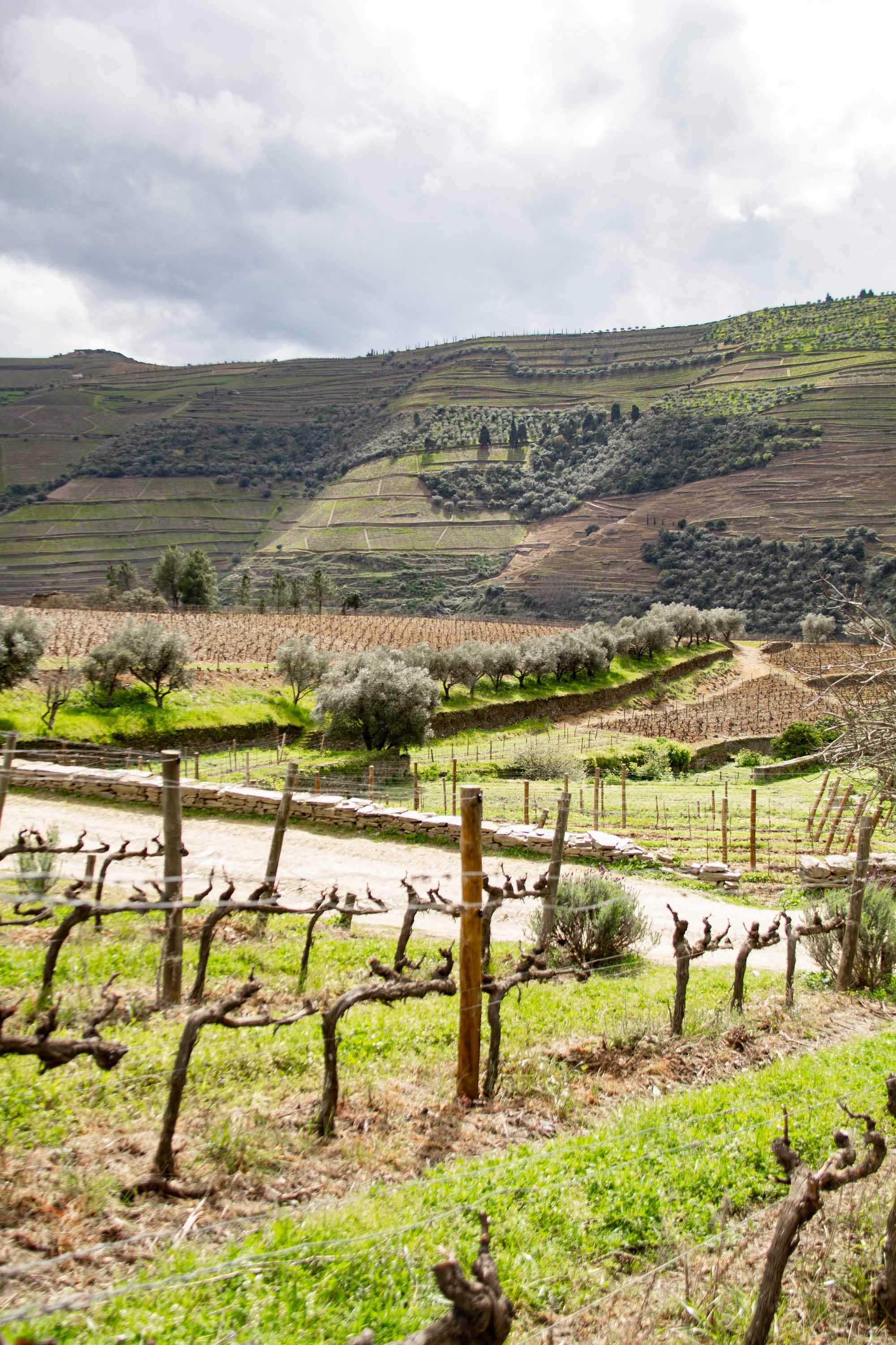 Duoro Valley —— 2025