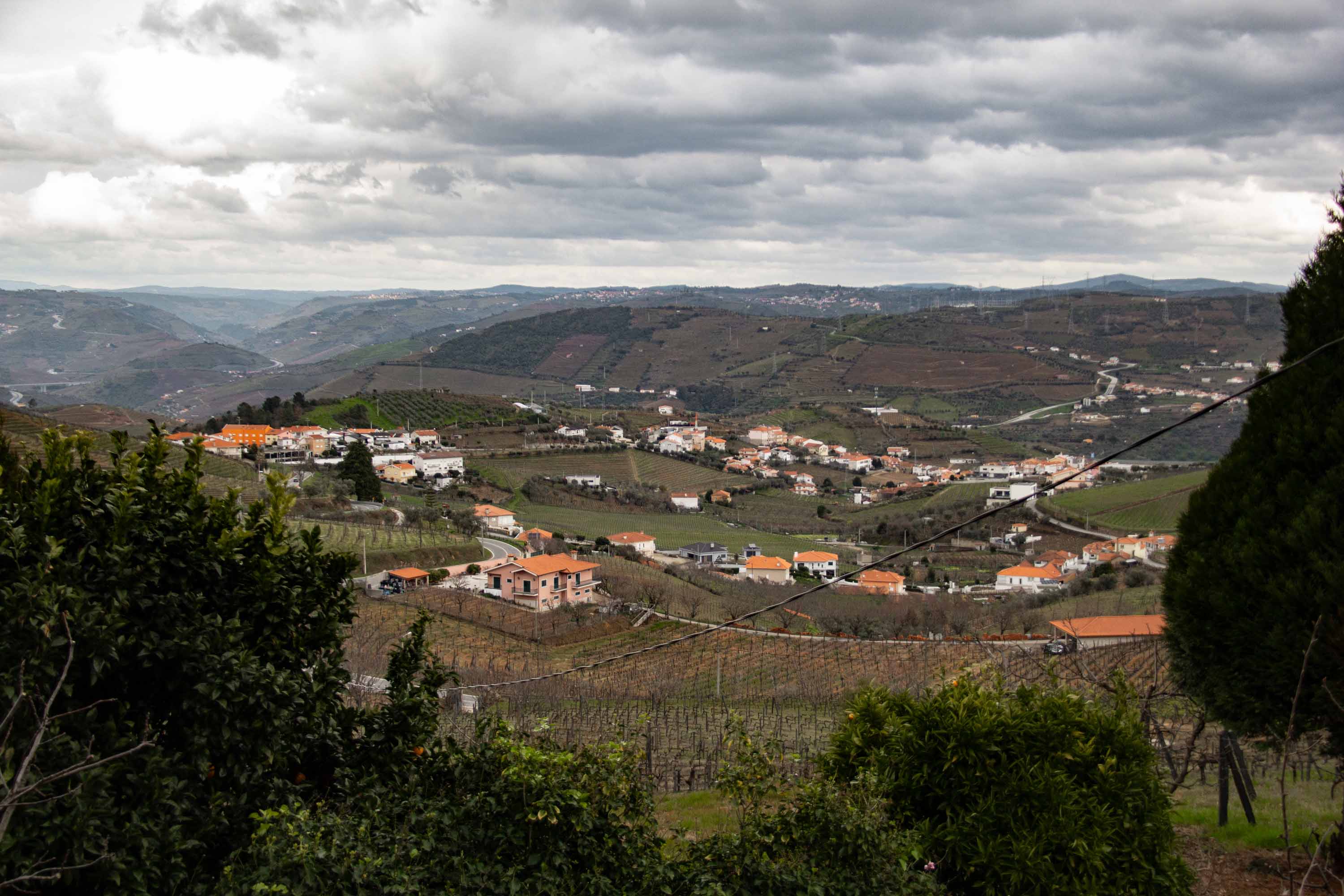 Duoro Valley —— 2025