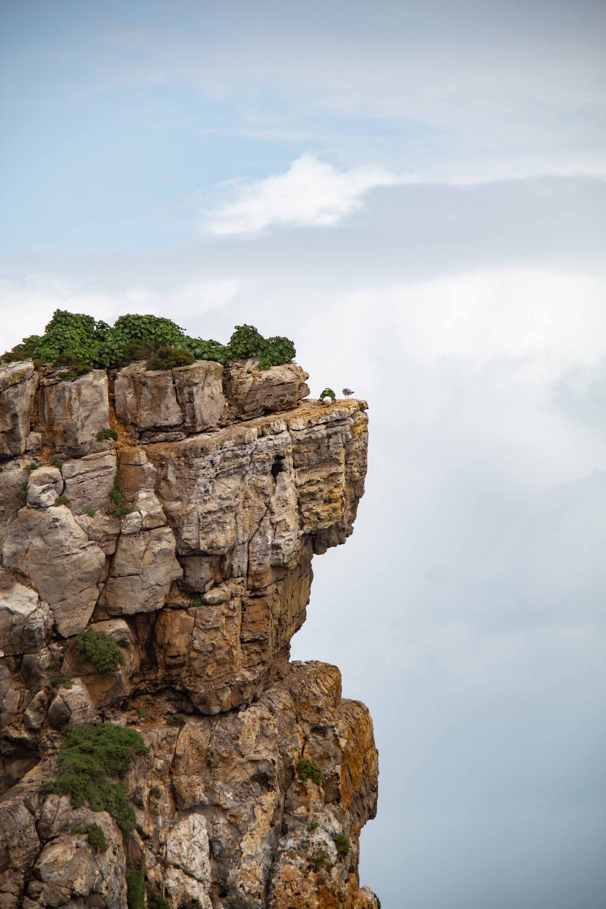 Brecha Vulcânica da Papôa —— 2025