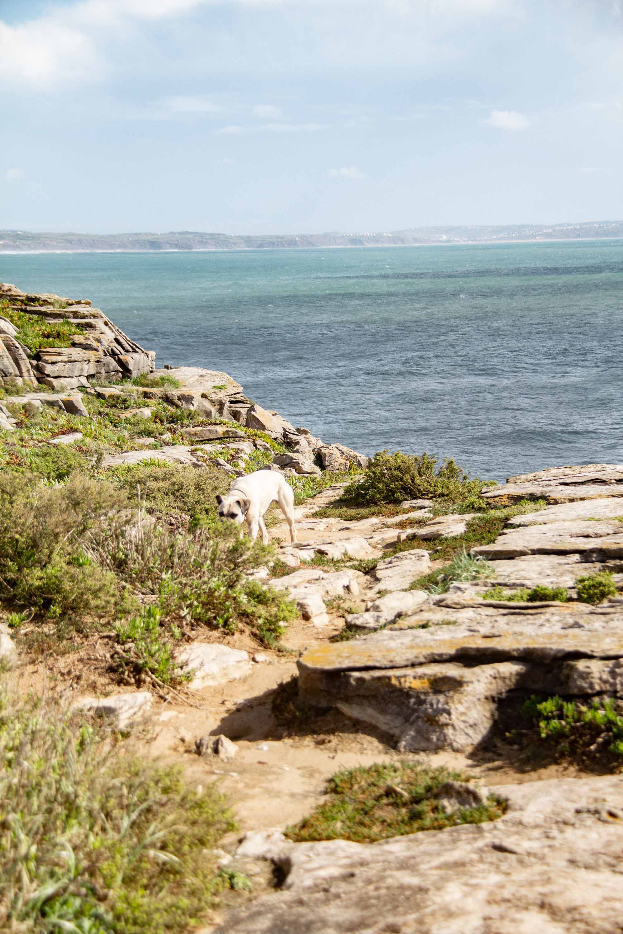 Cape Carvoeiro Viewpoint —— 2025