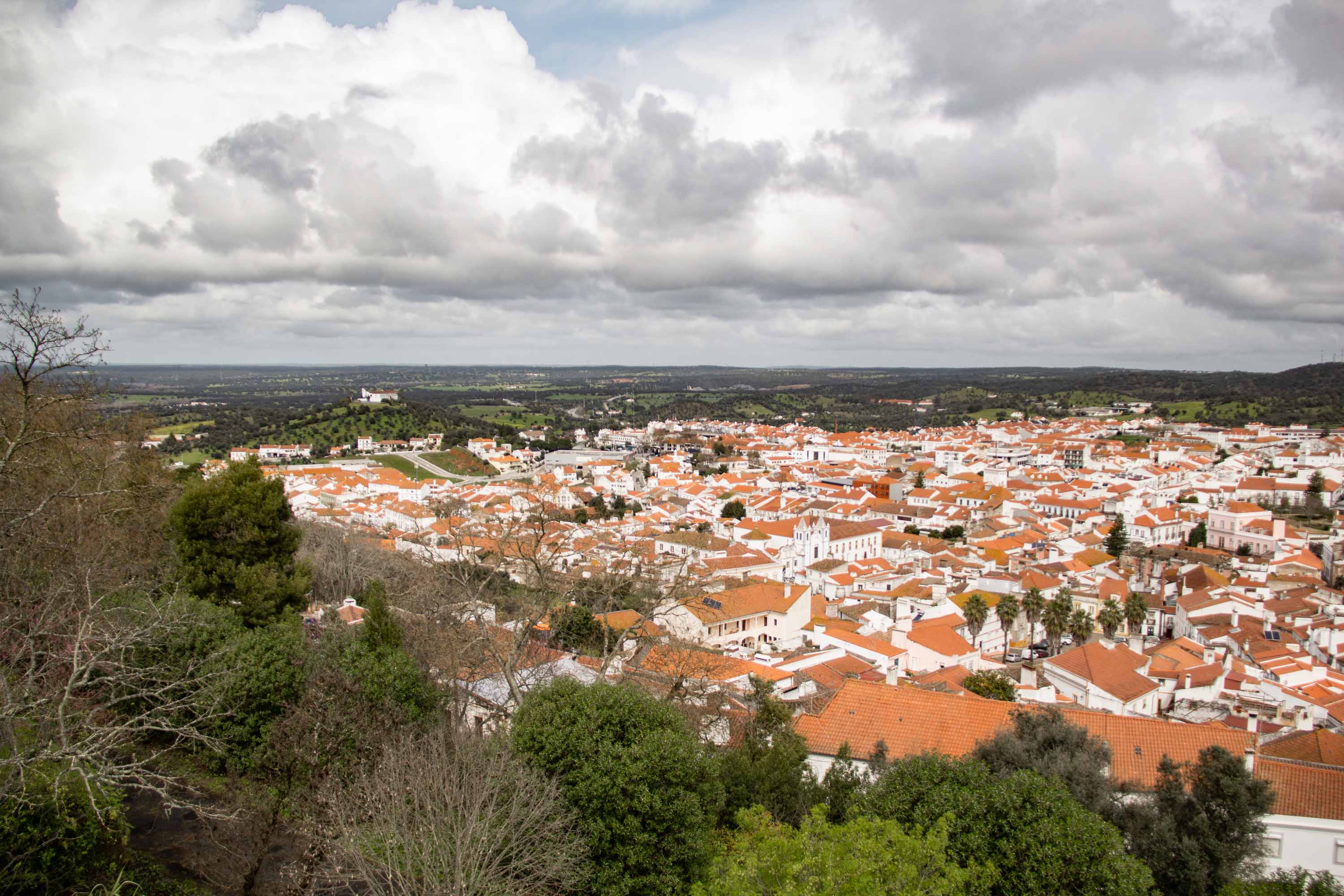 Montemor-o-Novo —— 2025