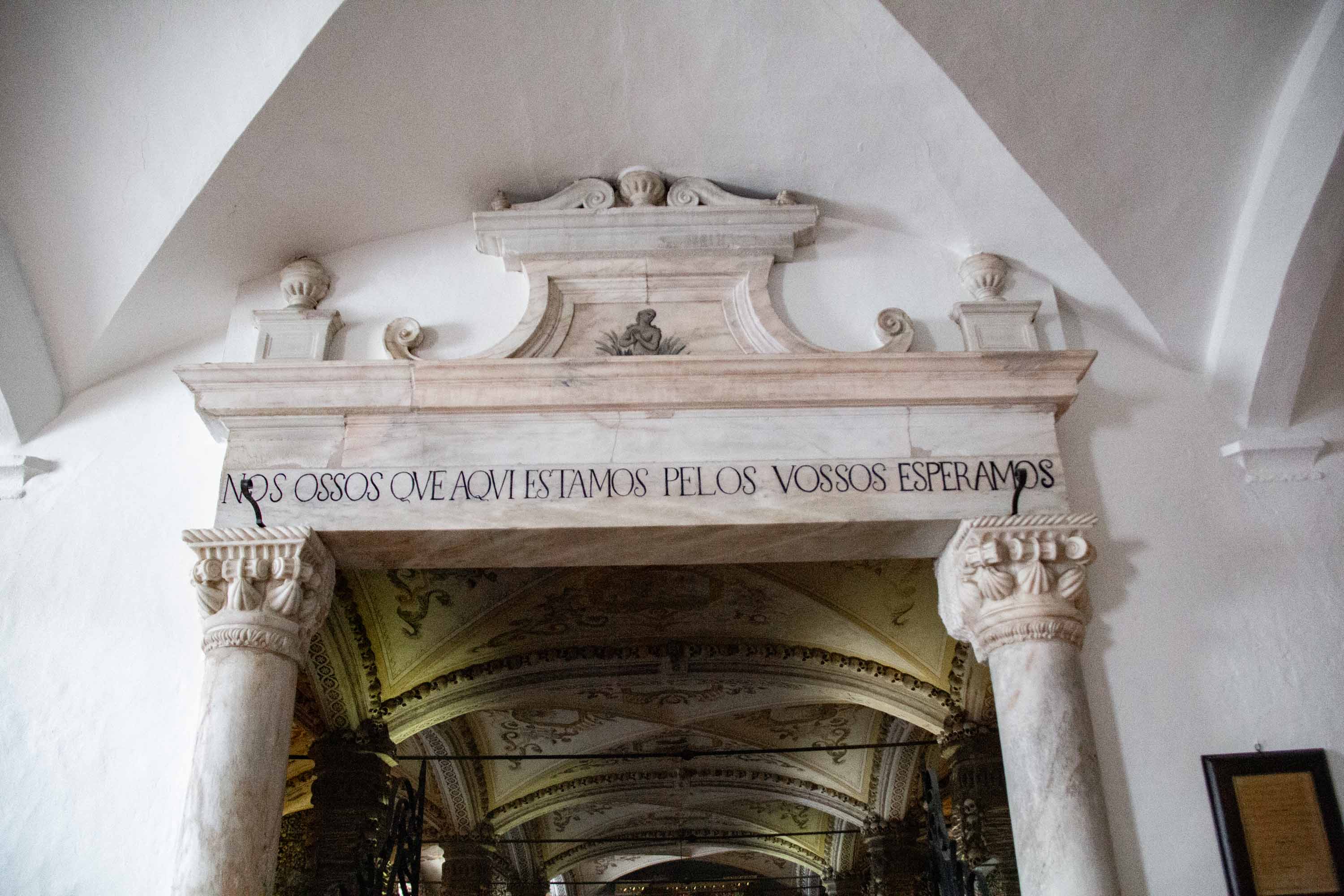 We bones that are here, await yours —— 2025