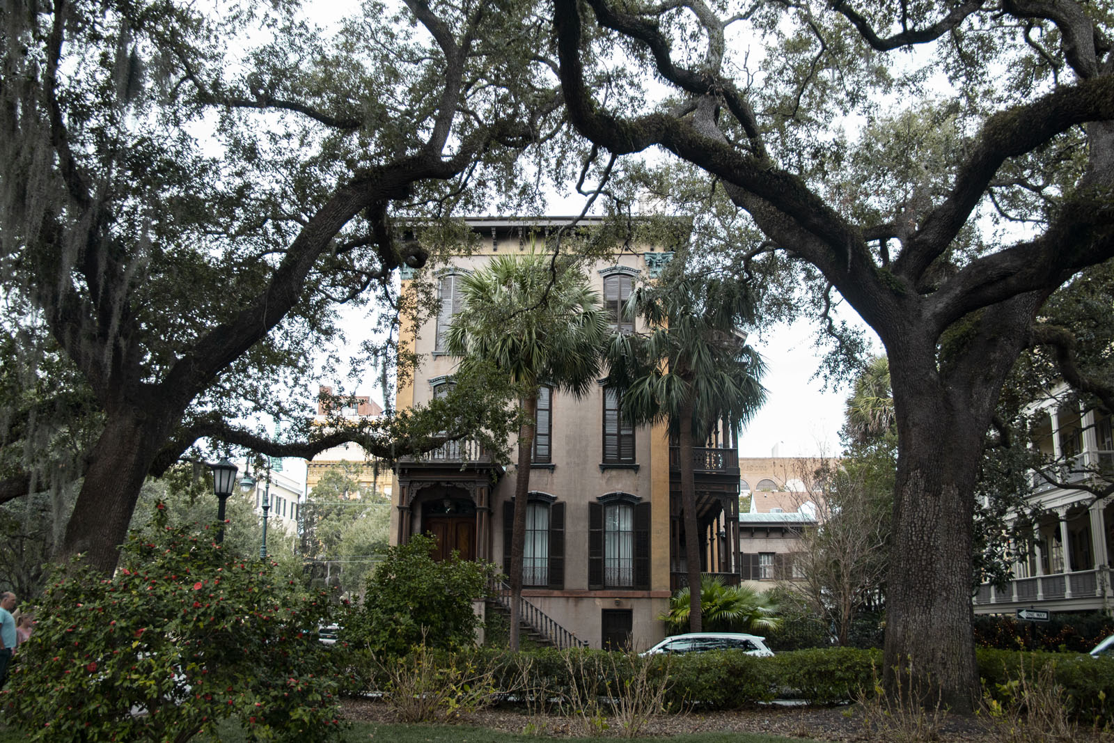 Savannah —— 2020