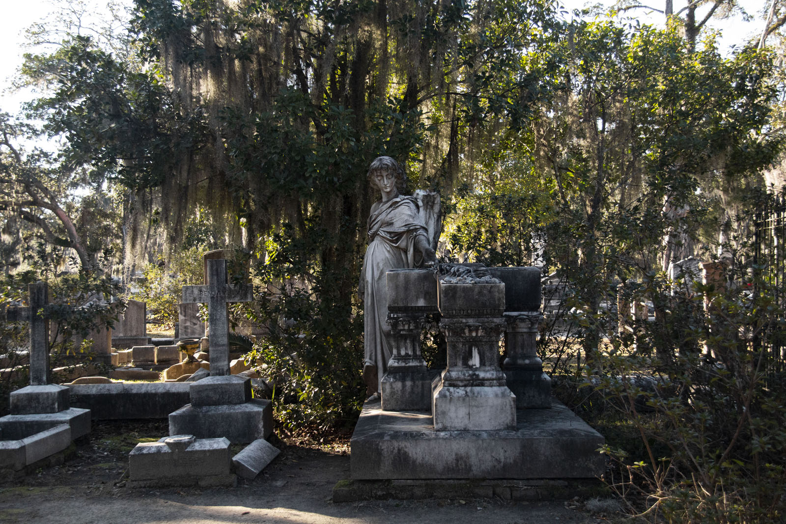 Bonaventure Cemetery —— 2020