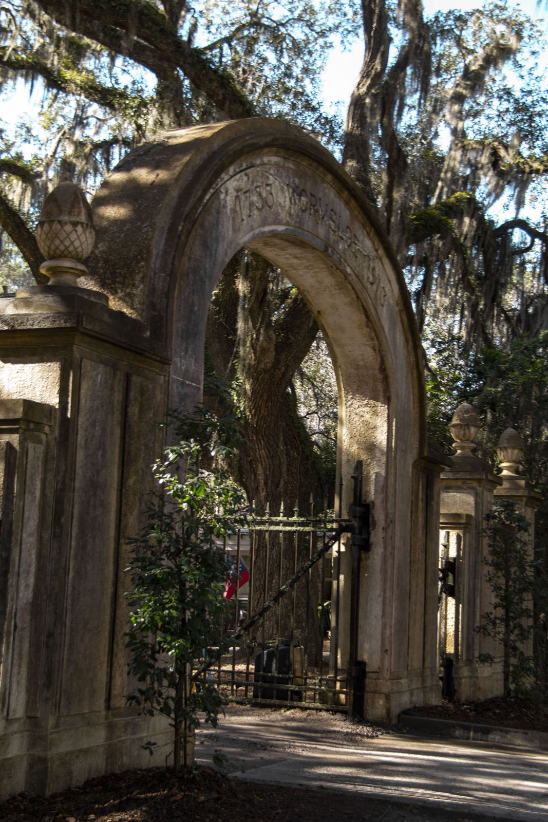 Wormsloe Estate —— 2020