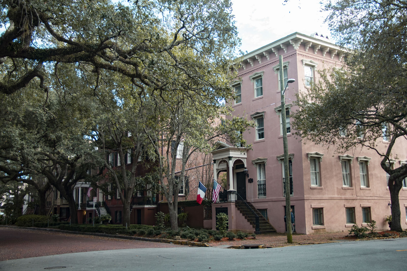 Savannah —— 2020