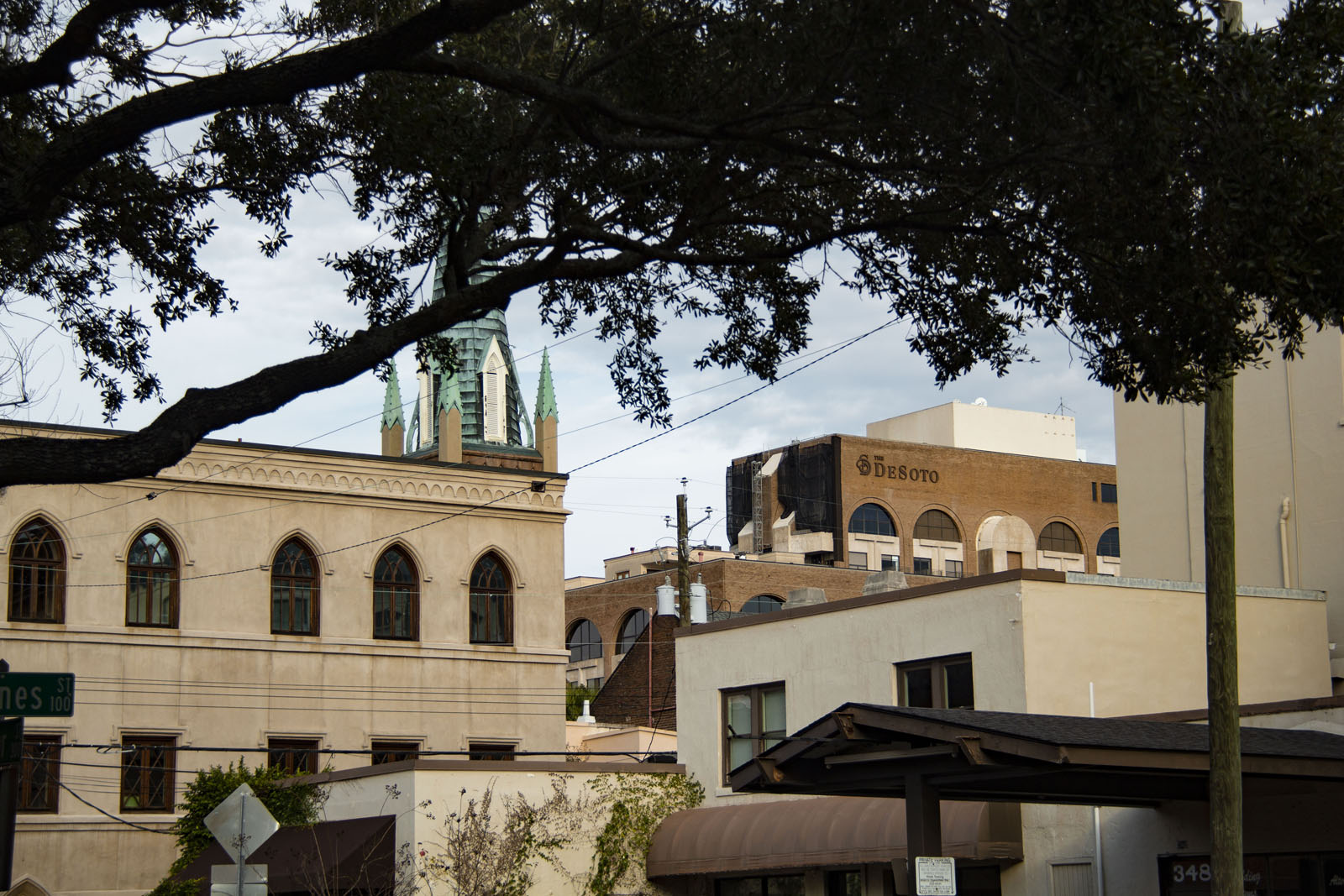 Savannah —— 2020