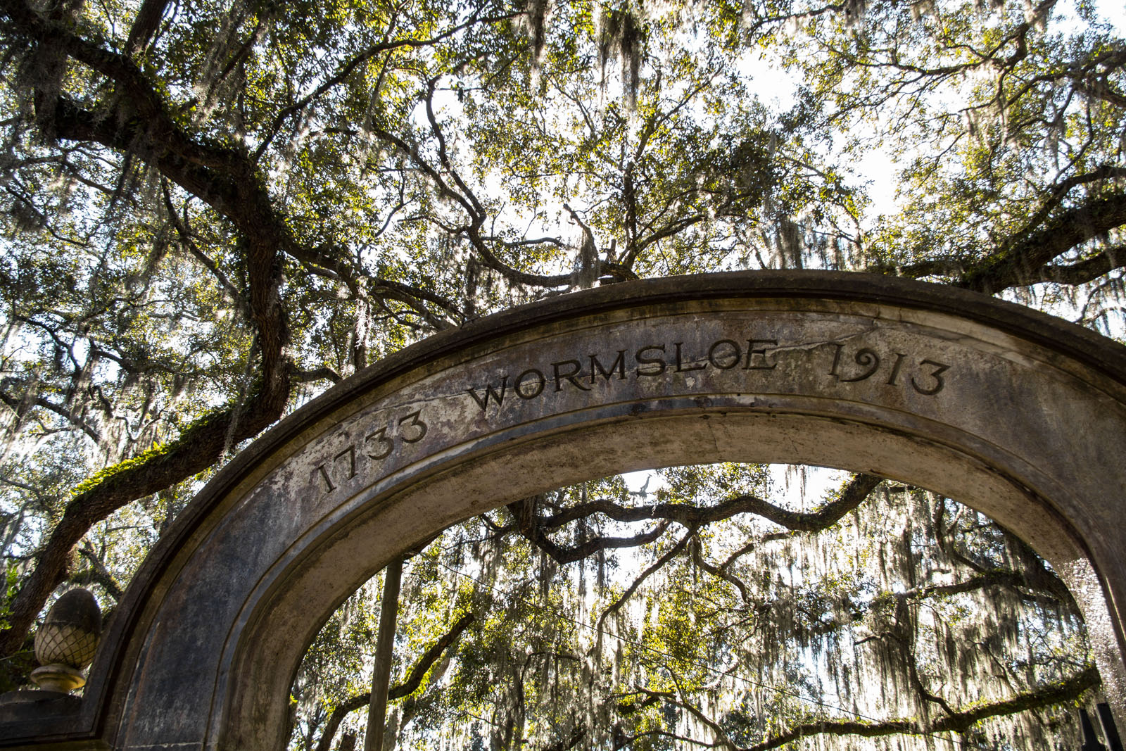Wormsloe Estate —— 2020