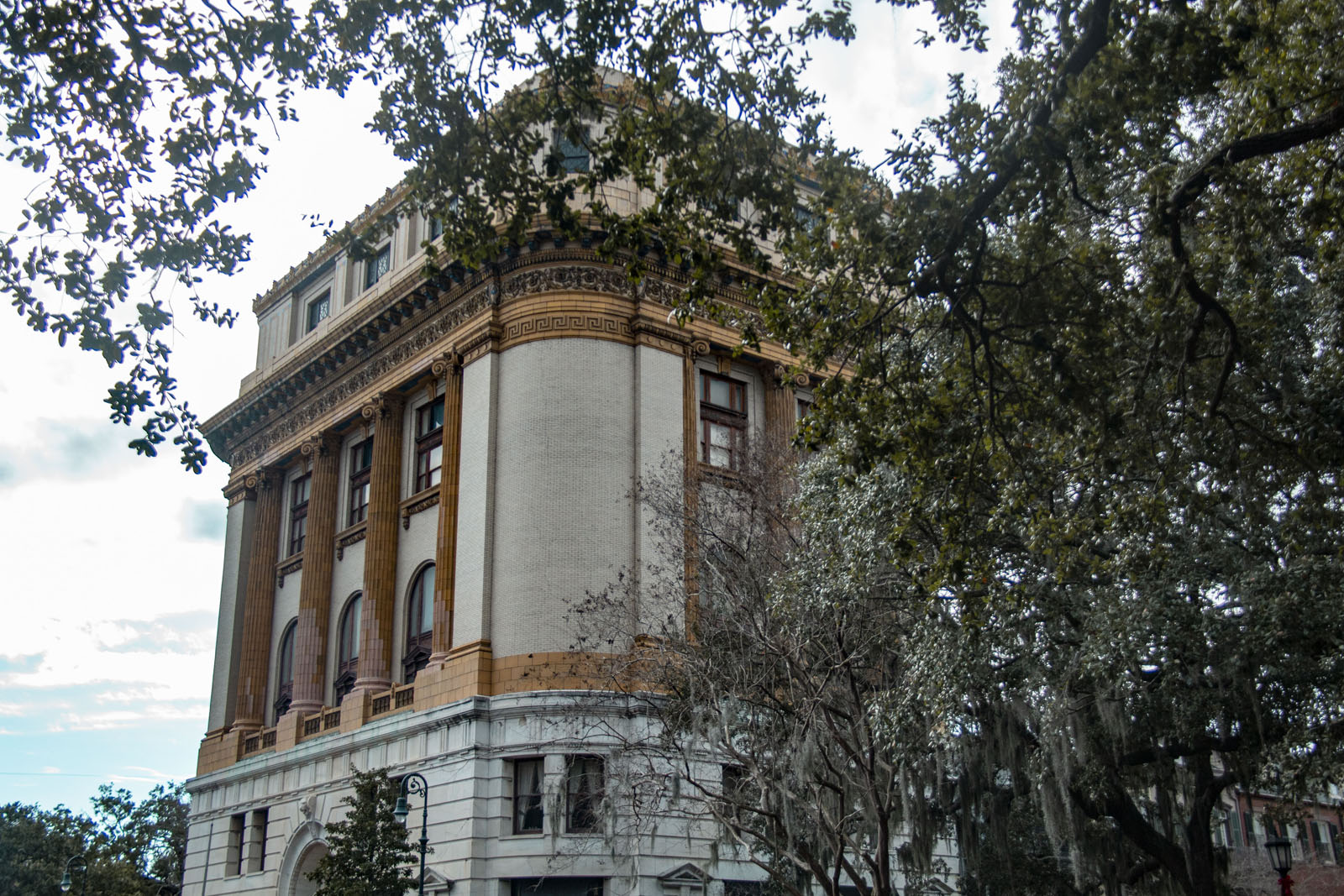 Savannah —— 2020