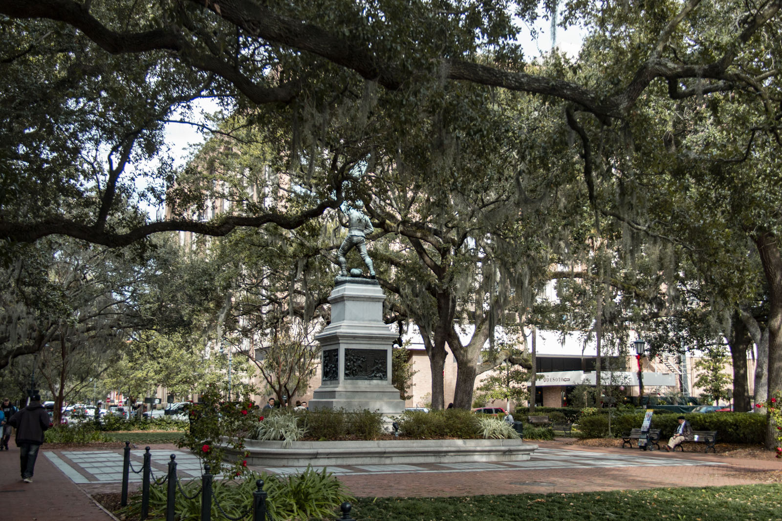 Savannah —— 2020