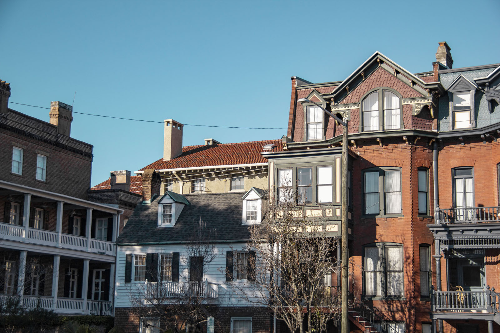 Savannah —— 2020