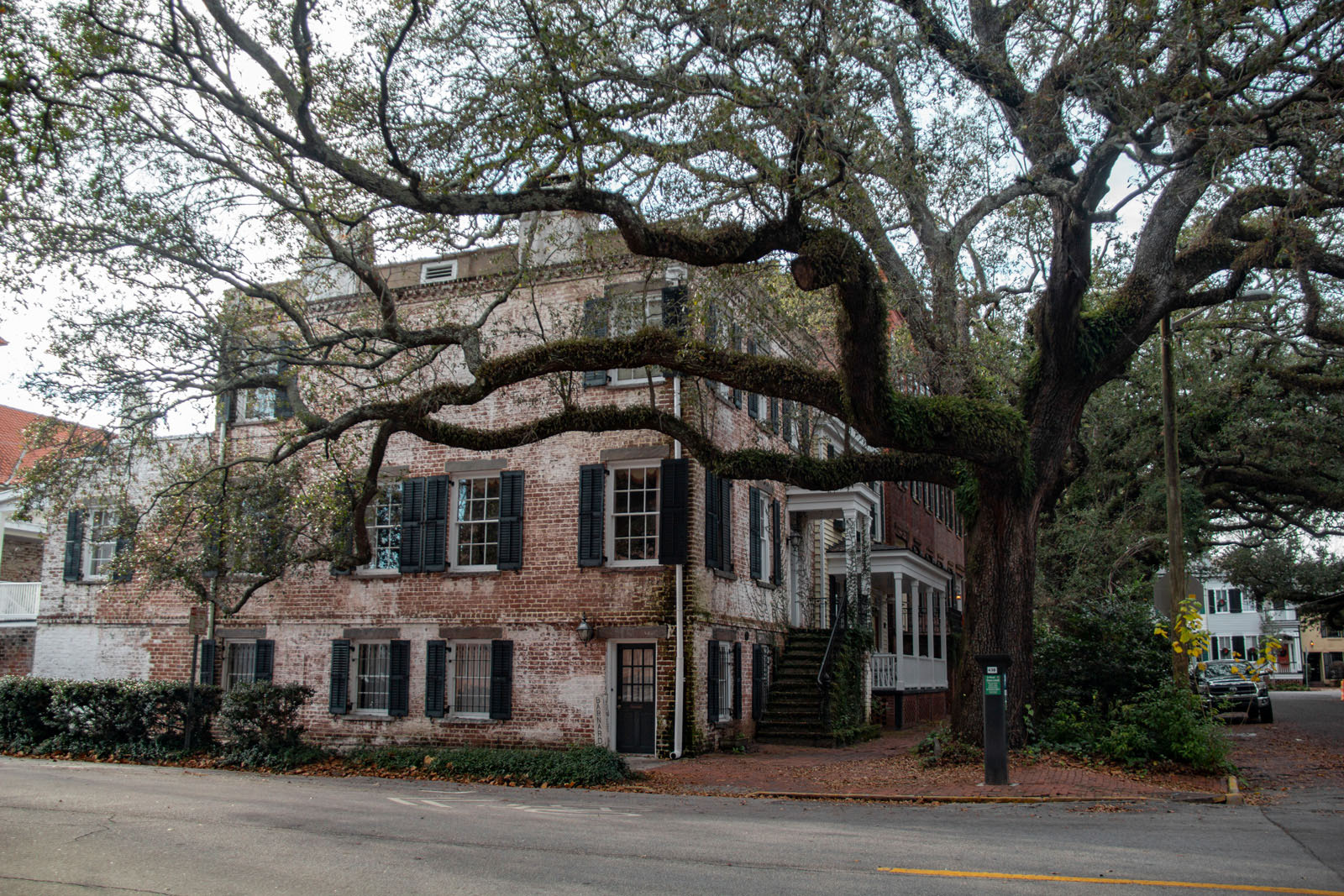 Savannah —— 2020