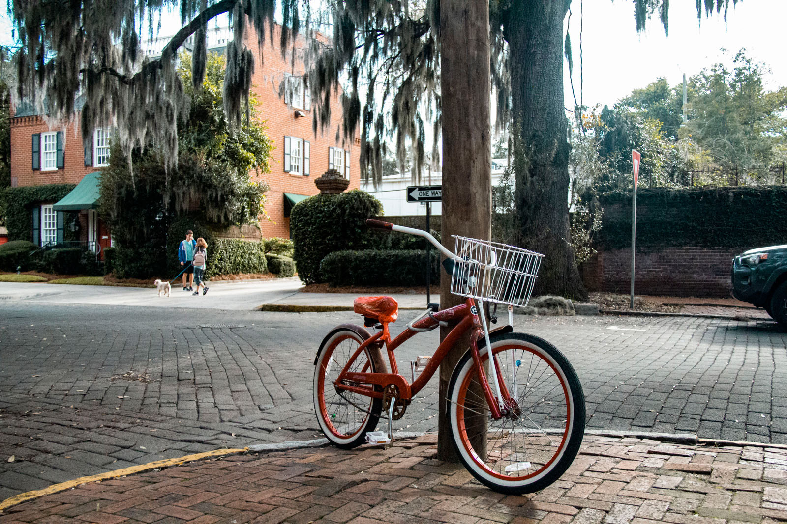 Savannah —— 2020