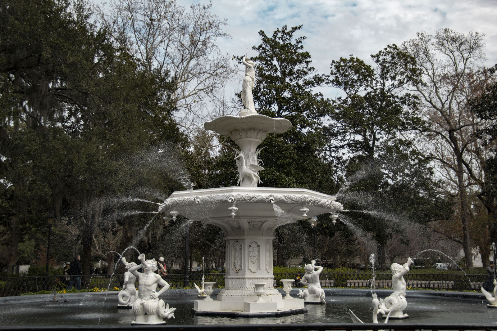 Savannah —— 2020