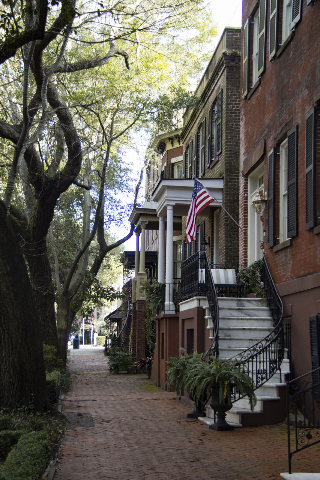 Savannah —— 2020