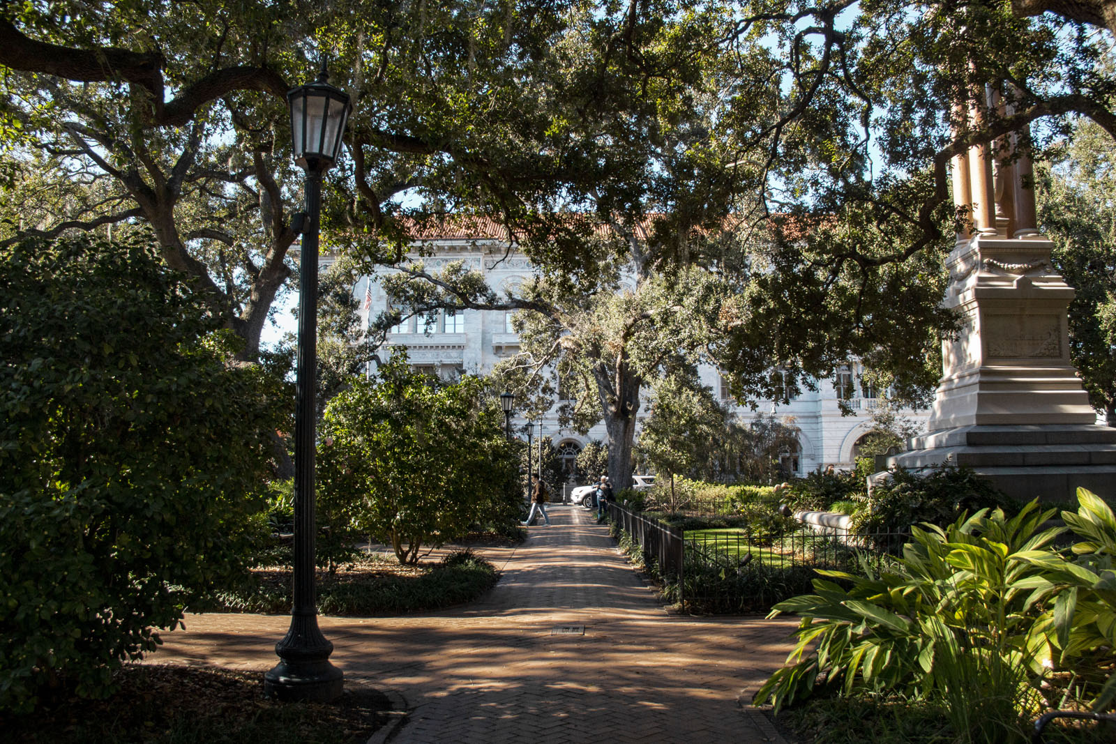 Savannah —— 2020