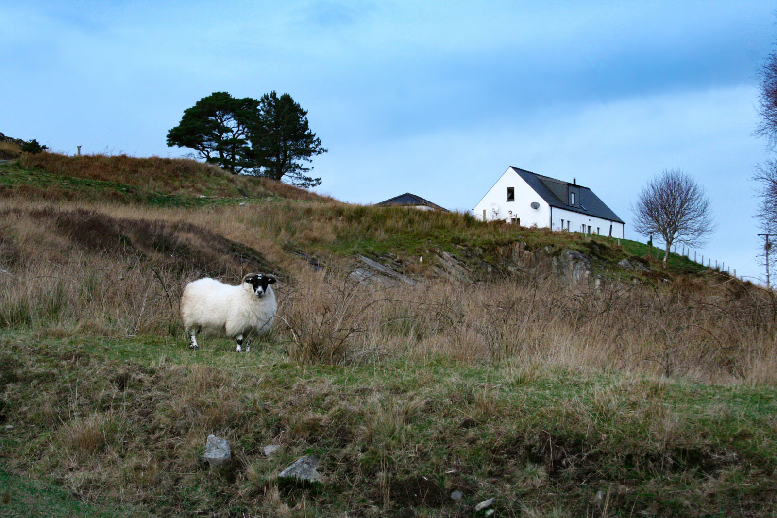 Scottish Highlands —— 2018