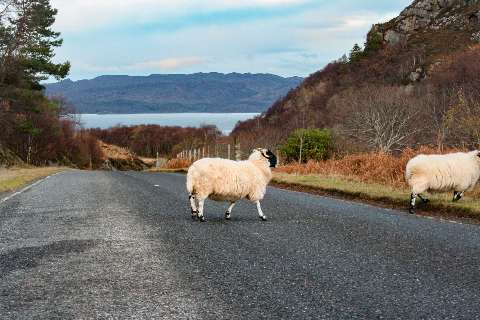 Scottish Highlands —— 2018