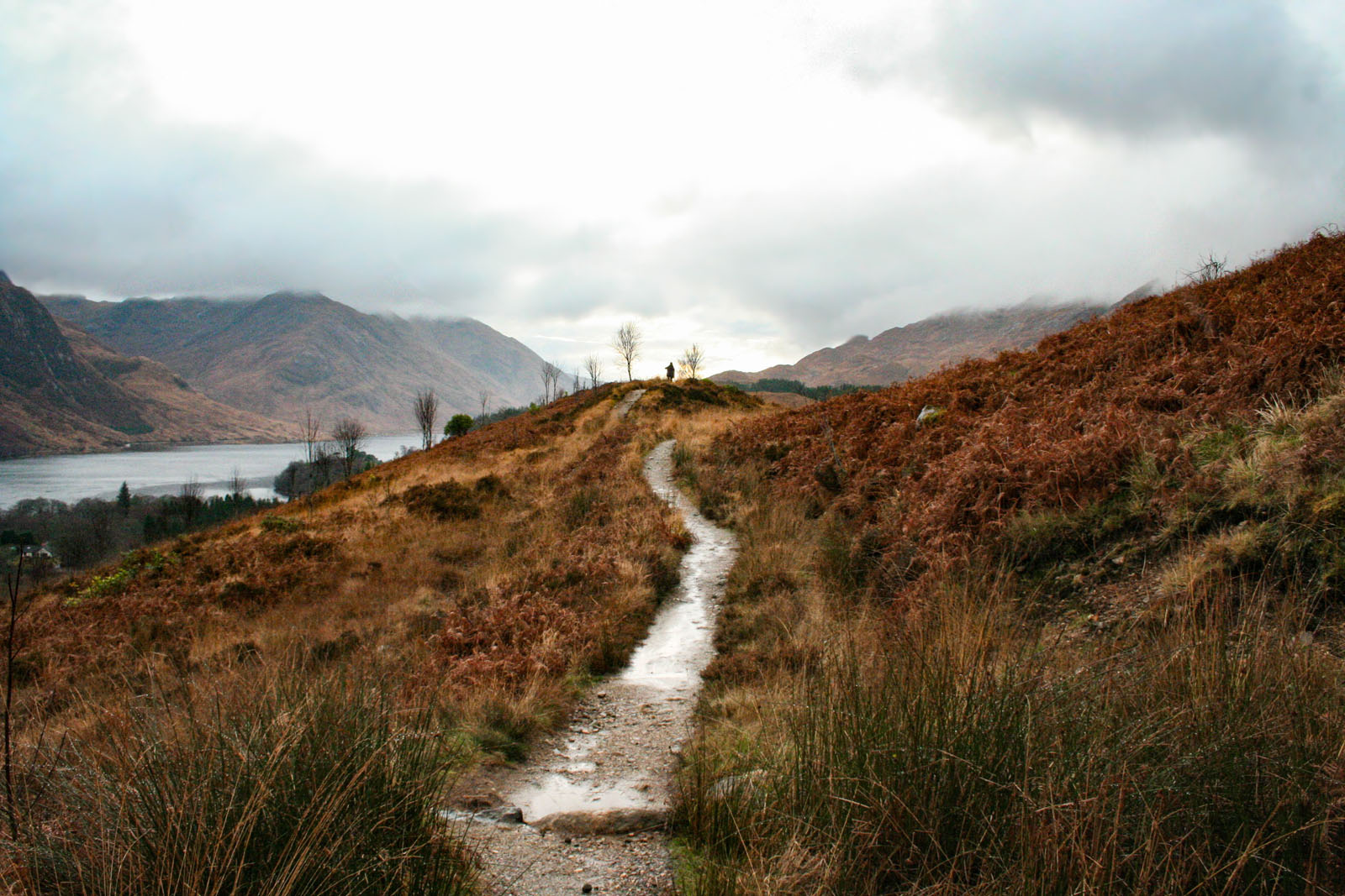 Glenfinnan —— 2018