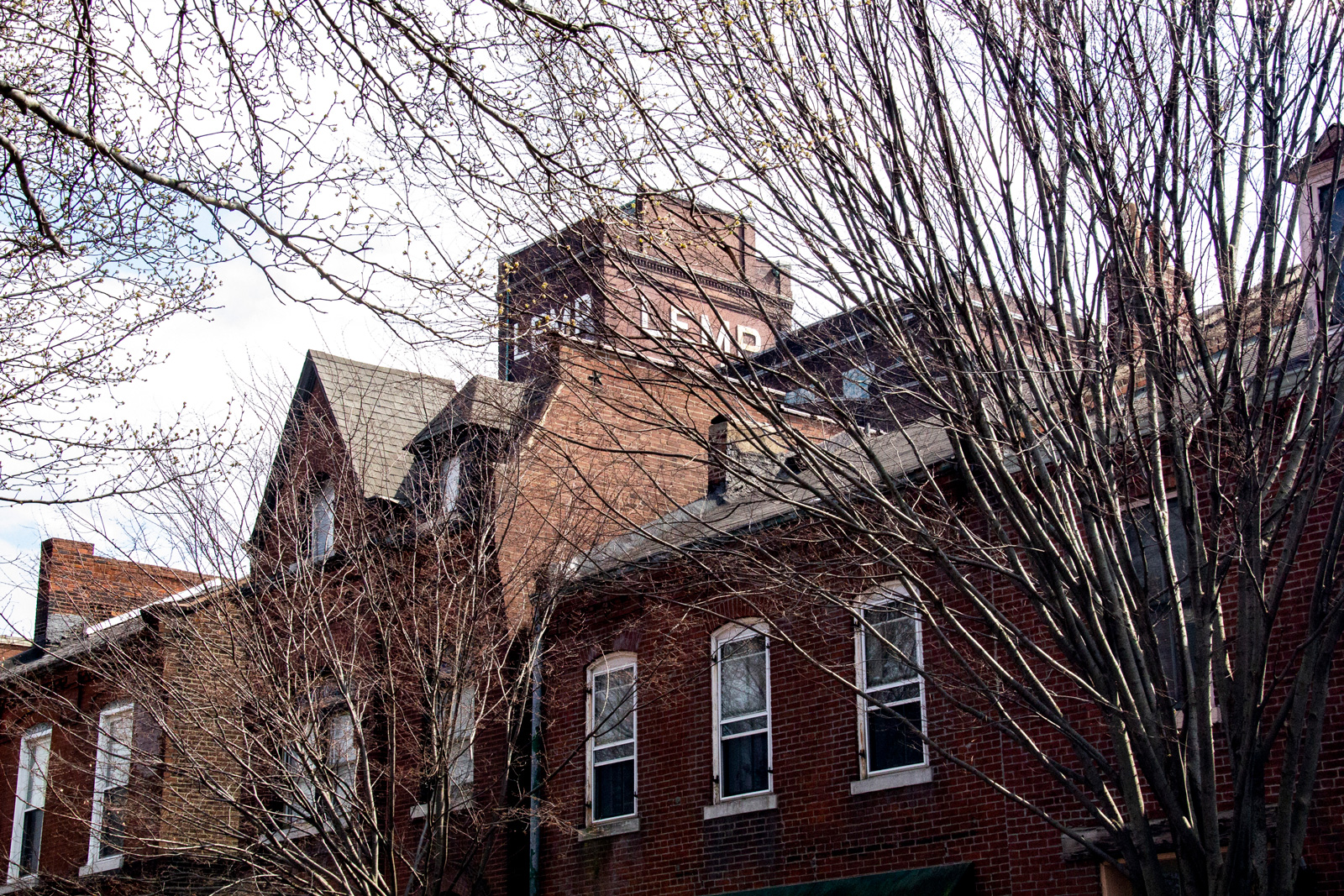 Cherokee Street —— 2019