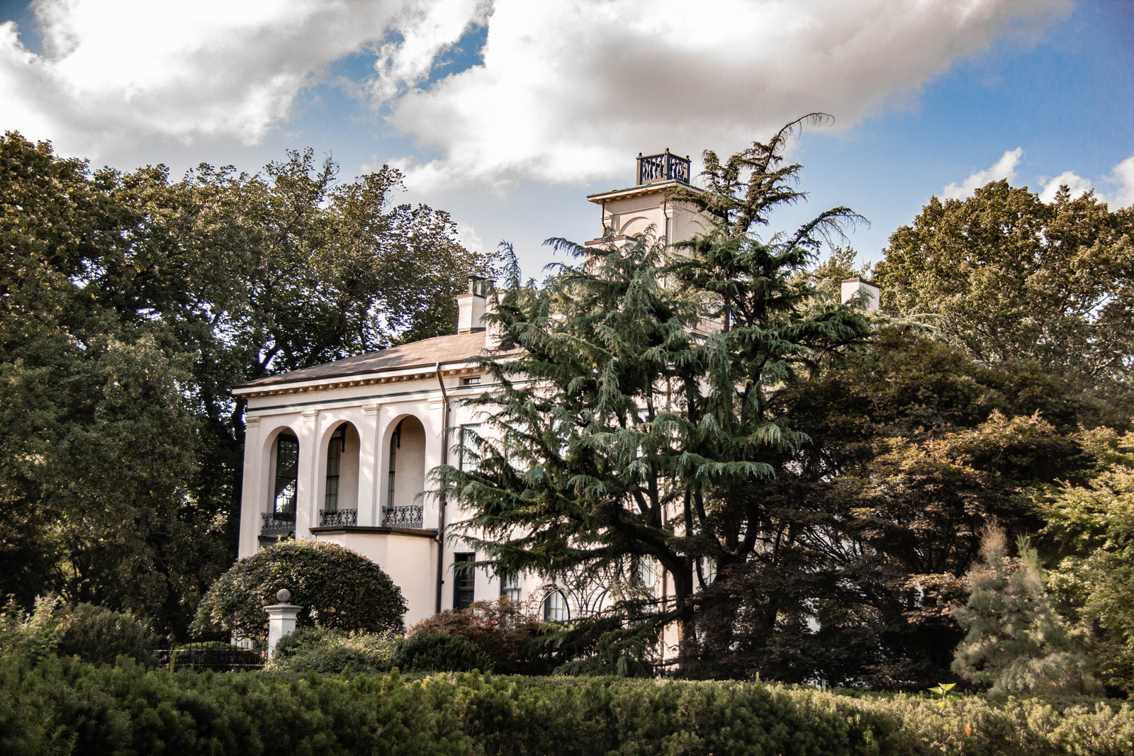 Tower Grove House —— 2020