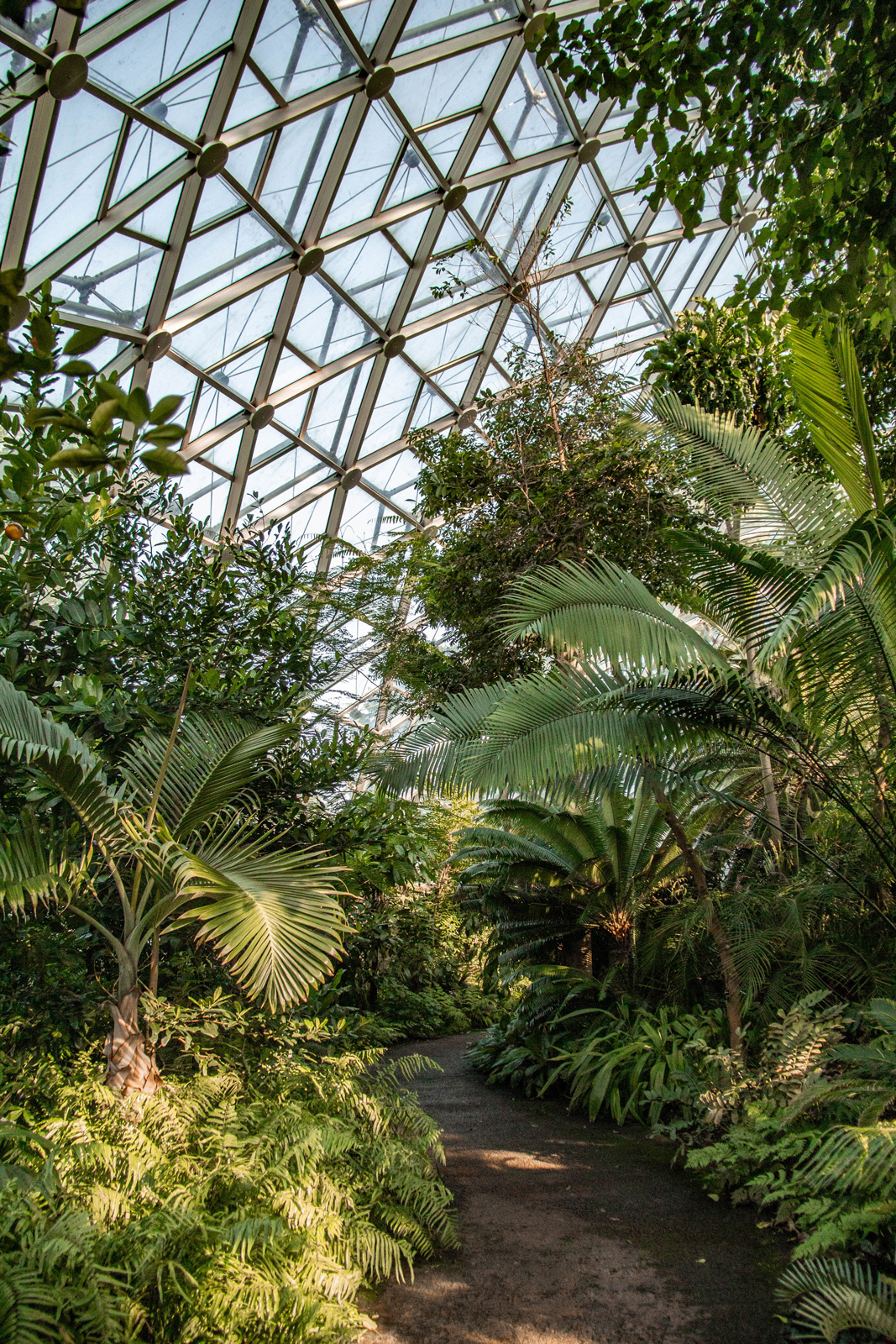 Botanical Gardens —— 2020