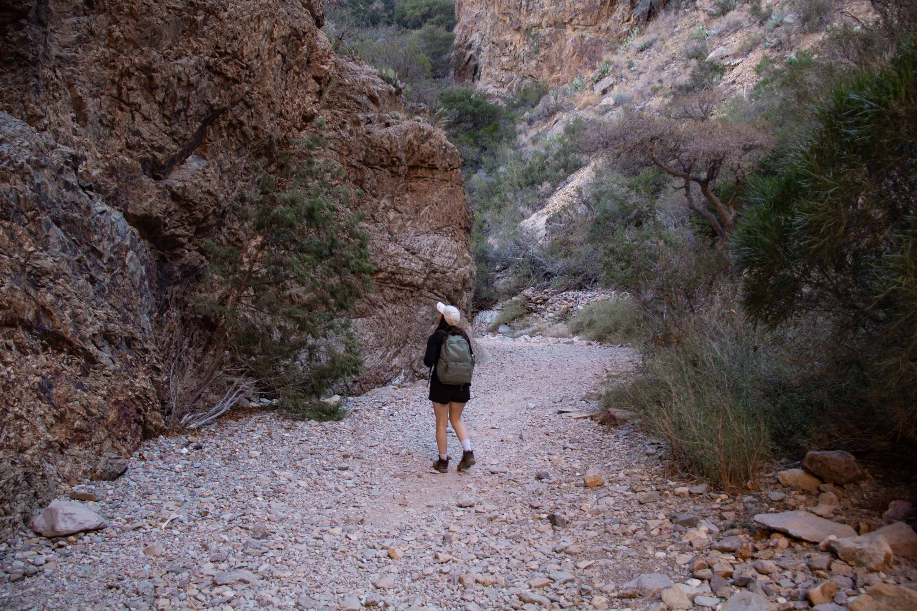 Windows Trail, Big Bend National Park —— 2025